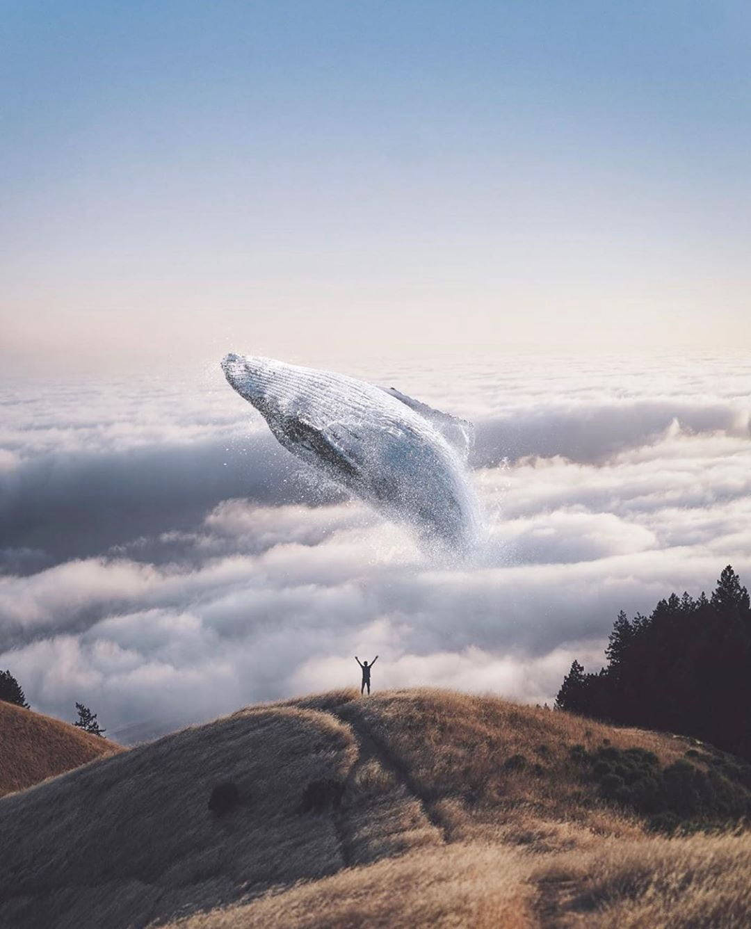 Whale 桌布 壁紙 — 一個孤獨的身影站在長滿草的山丘上，看著一頭巨大的鯨魚在晴朗的天空下穿過雲海跳躍。