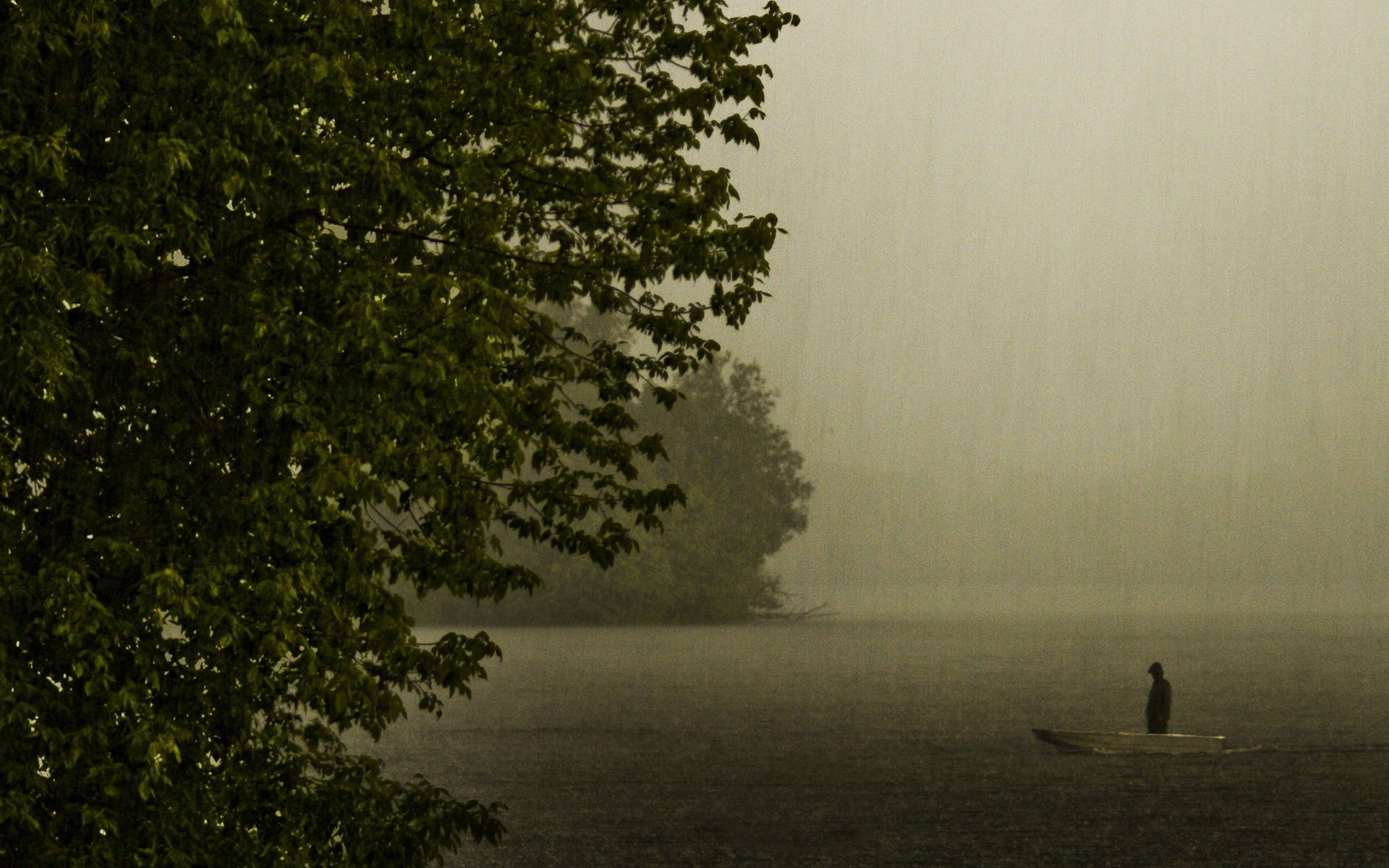 一個人在雨中的湖上划船，周圍環繞著霧氣和樹木。 — 釣魚 GIF 壁紙
