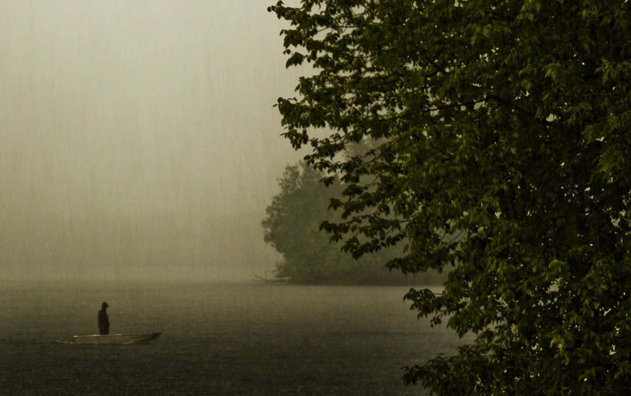 Rainy 桌布 壁紙 — 一個孤獨的身影站在霧氣瀰漫的湖中小船上，雨水落下，四周環繞著茂密的綠色樹枝。