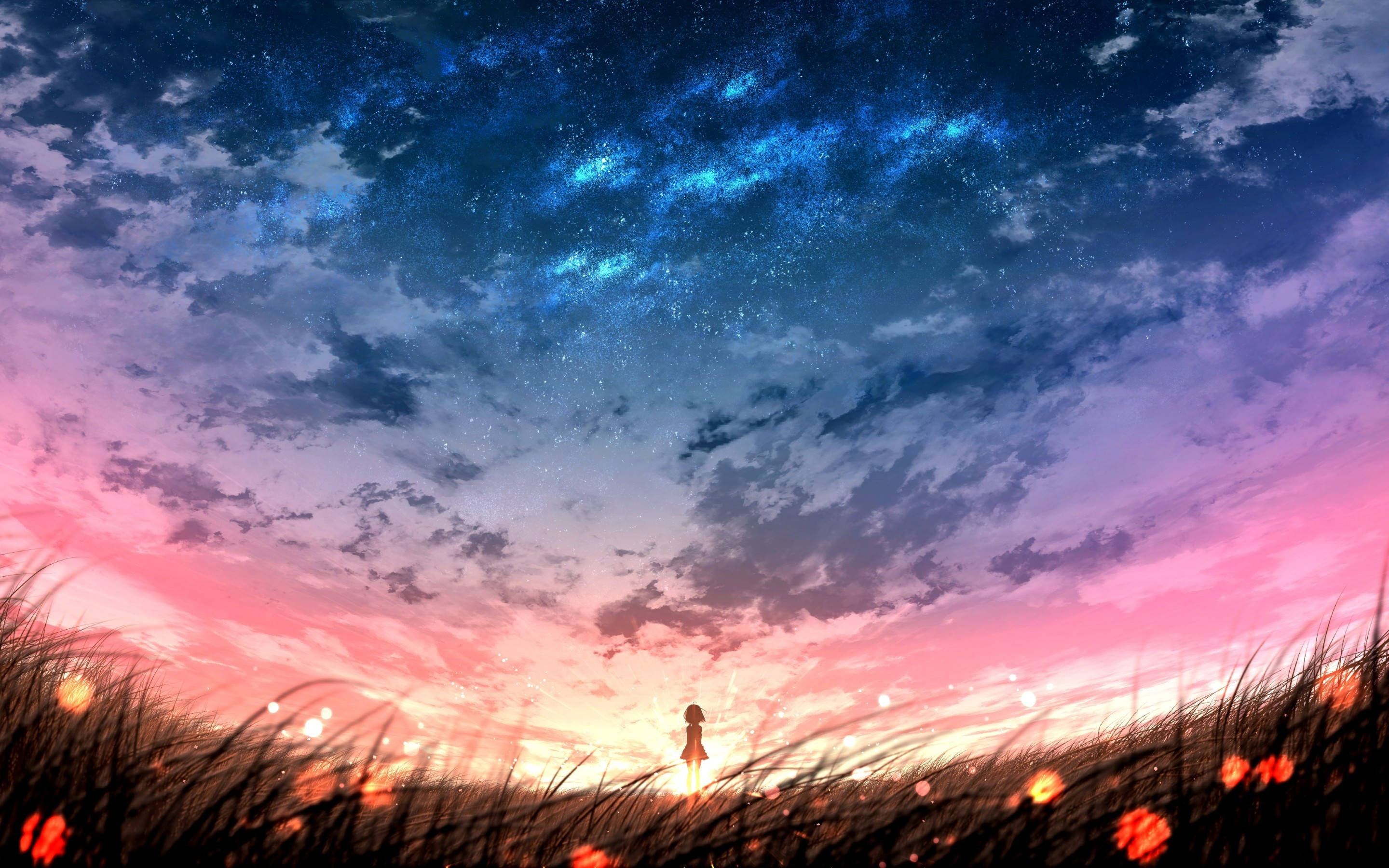 夕陽天空 桌布 壁紙 — 一個孤獨的身影站在高草叢生的田野中，頭頂是佈滿粉紅和藍色星星的鮮豔暮色天空。