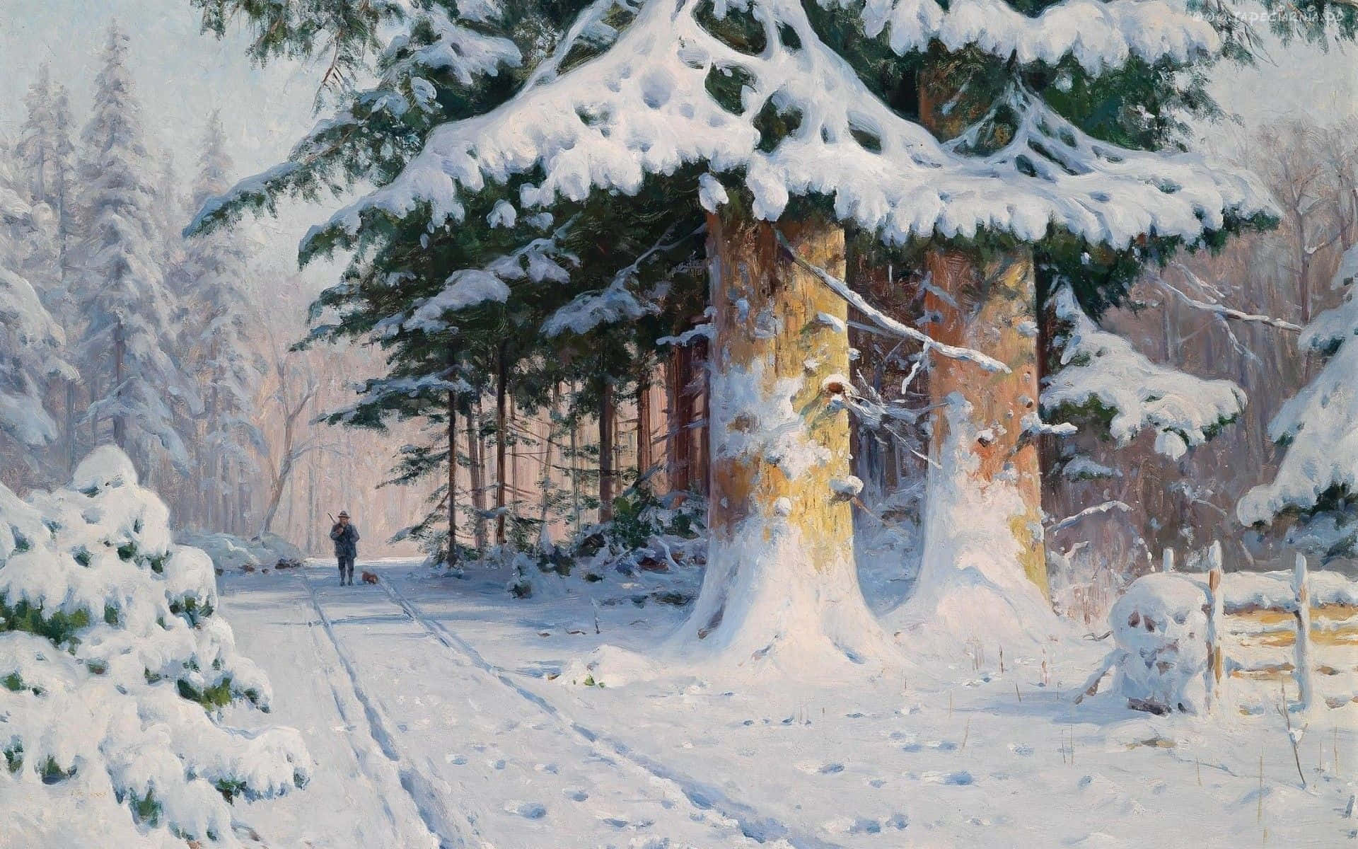 Winter Forest 桌布 壁紙 — 一個孤獨的身影走在白雪覆蓋的森林小徑上，兩旁是高聳的、積滿雪的松樹，沐浴在柔和冬日陽光中。