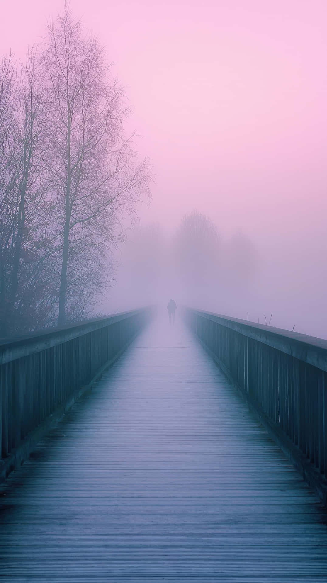 Misty Bridge at Dawn with Pink Hues and Trees - Serene and Atmospheric Scene 壁紙 — 一個孤獨的身影走進霧氣瀰漫的粉紅色和藍色霧中，沿著一條兩旁有光禿樹木的木橋行走。