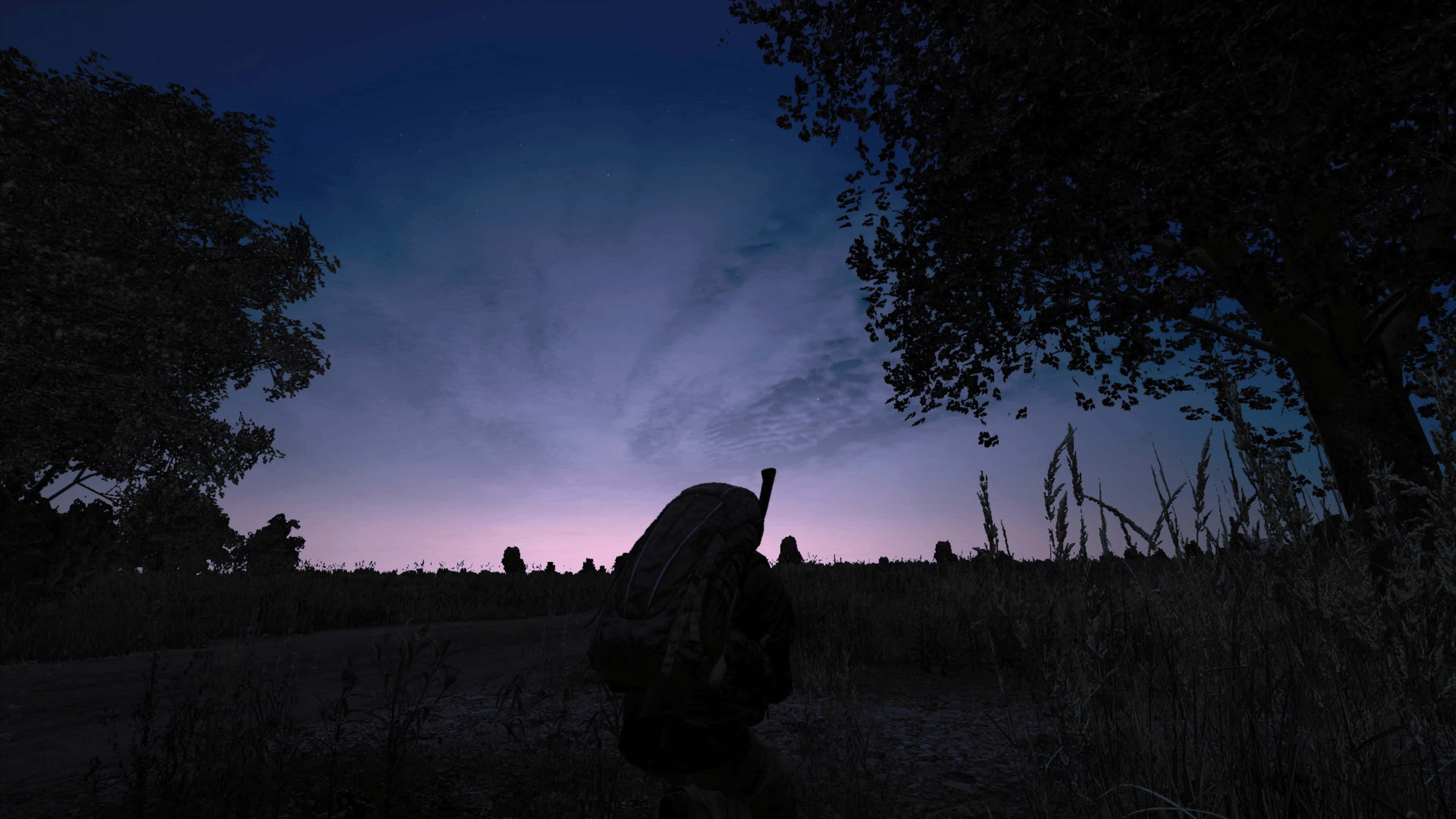 game 桌布 壁紙 — 一個孤獨的遠足者背著背包，在黃昏時分穿過高高的草叢，天空呈現紫色和藍色，被樹木環繞。