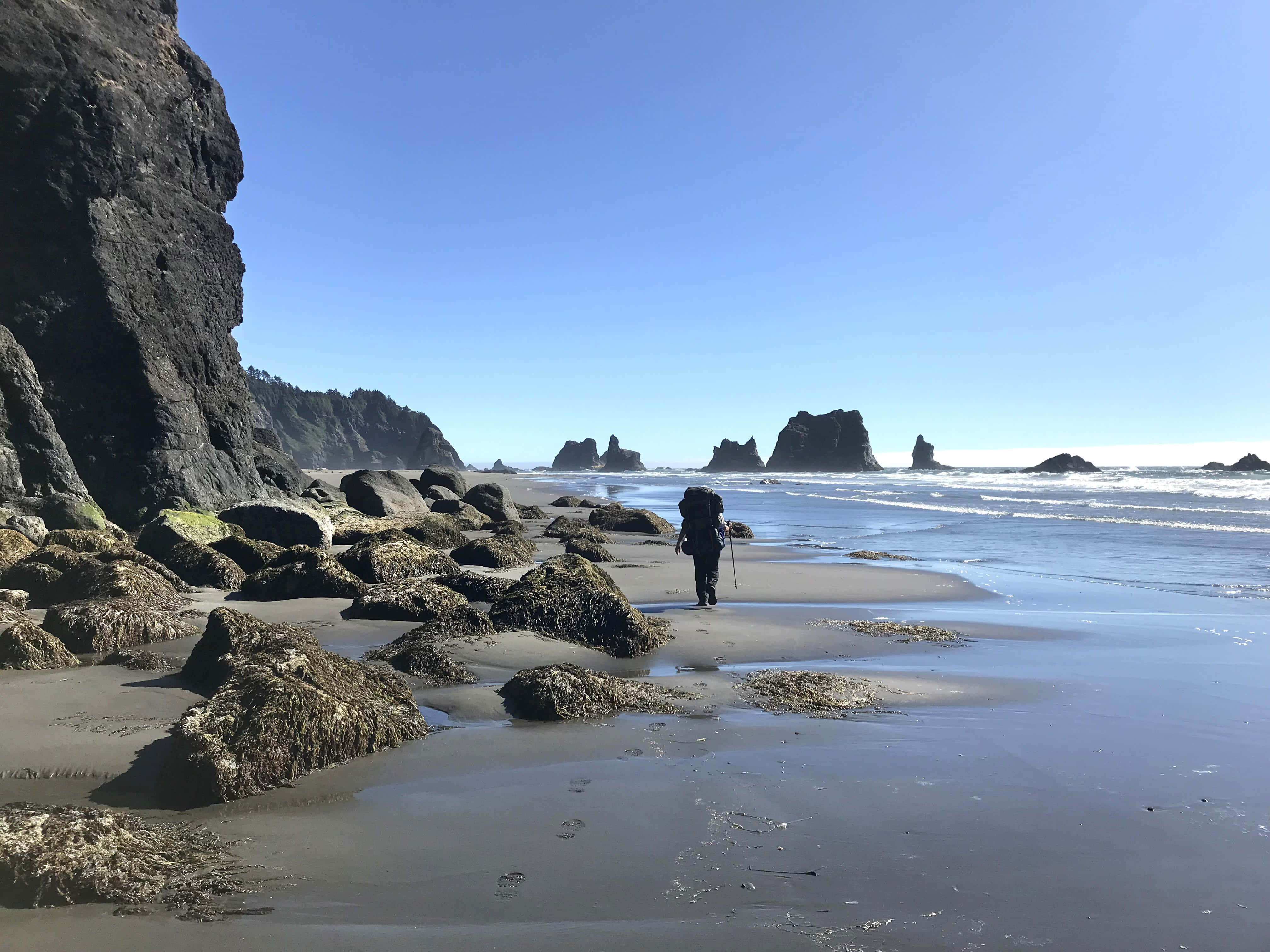 Oregon Coast 桌布 壁紙 — 一個孤獨的遠足者背著背包、拿著手杖，在晴朗藍天下沿著岩石潮汐池海灘行走，遠處有海蝕柱。