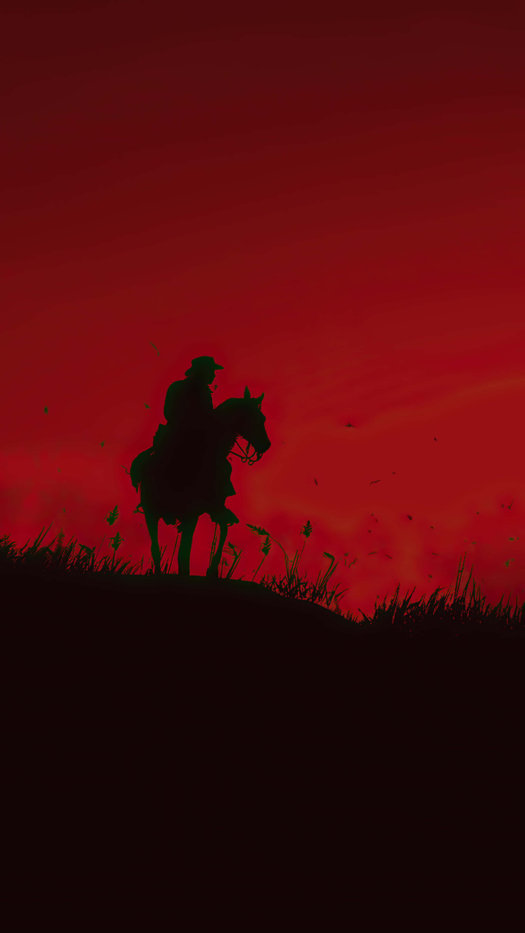 Silhouette 桌布 壁紙 — 一個孤獨的騎手騎在馬上，在長滿青草的山丘上，以火紅的日落為背景形成剪影。