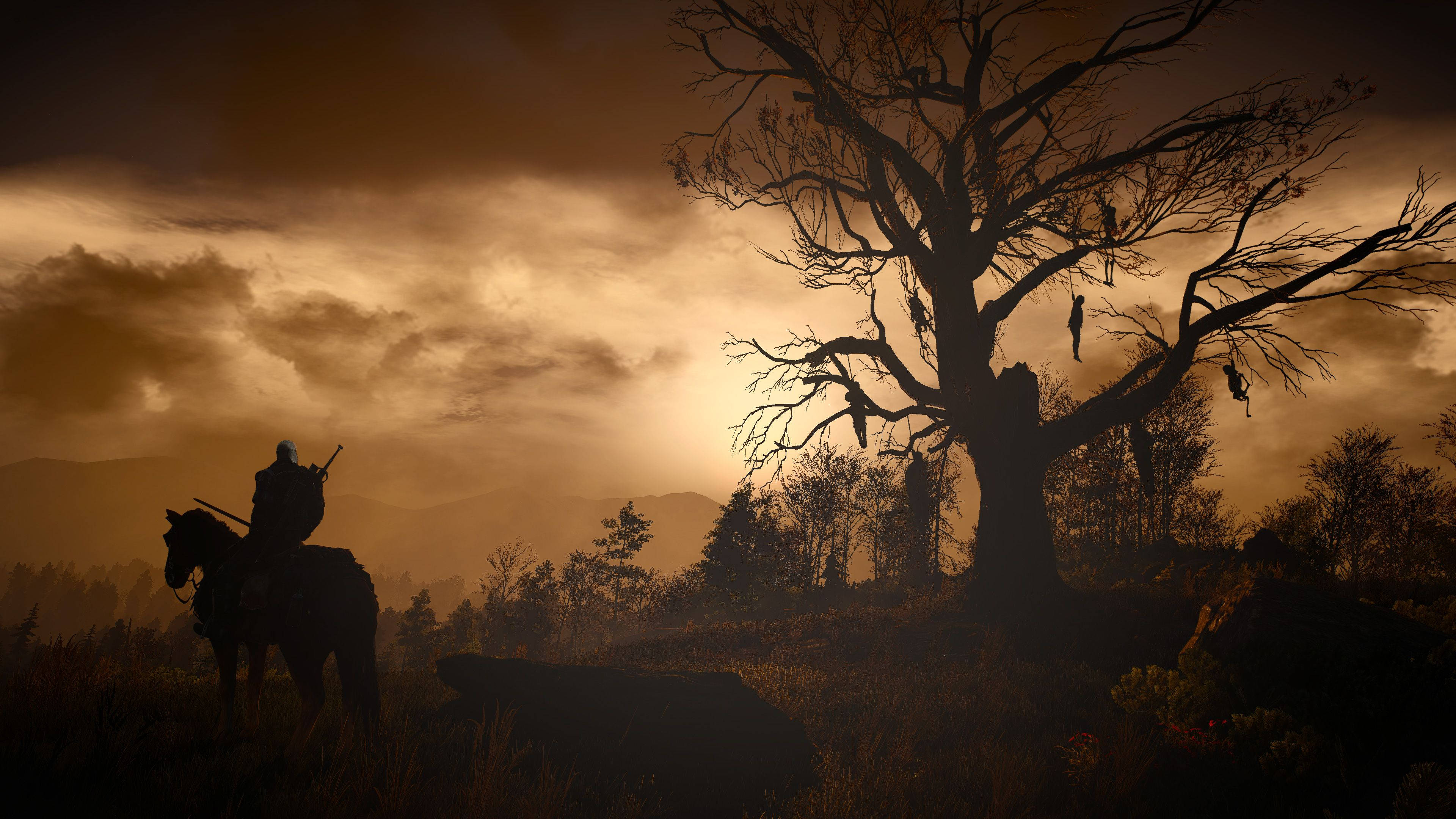 Witcher 3 桌布 壁紙 — 一個孤獨的騎手騎在馬背上，在金色夕陽的映襯下，在一棵巨大的光禿禿的樹下，樹上掛著人物。