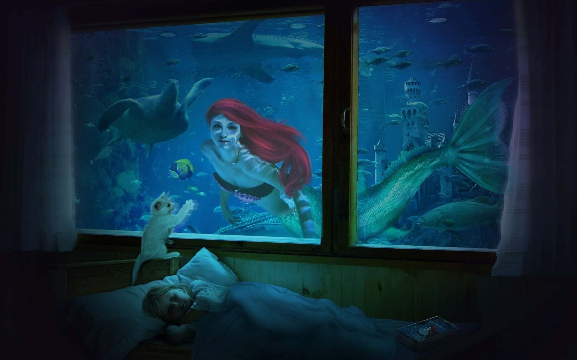 美人魚 桌布 壁紙 — 一個孩子在昏暗的房間裡睡覺，而一個紅髮美人魚和海洋生物在一個巨大的水族箱窗戶中游泳。