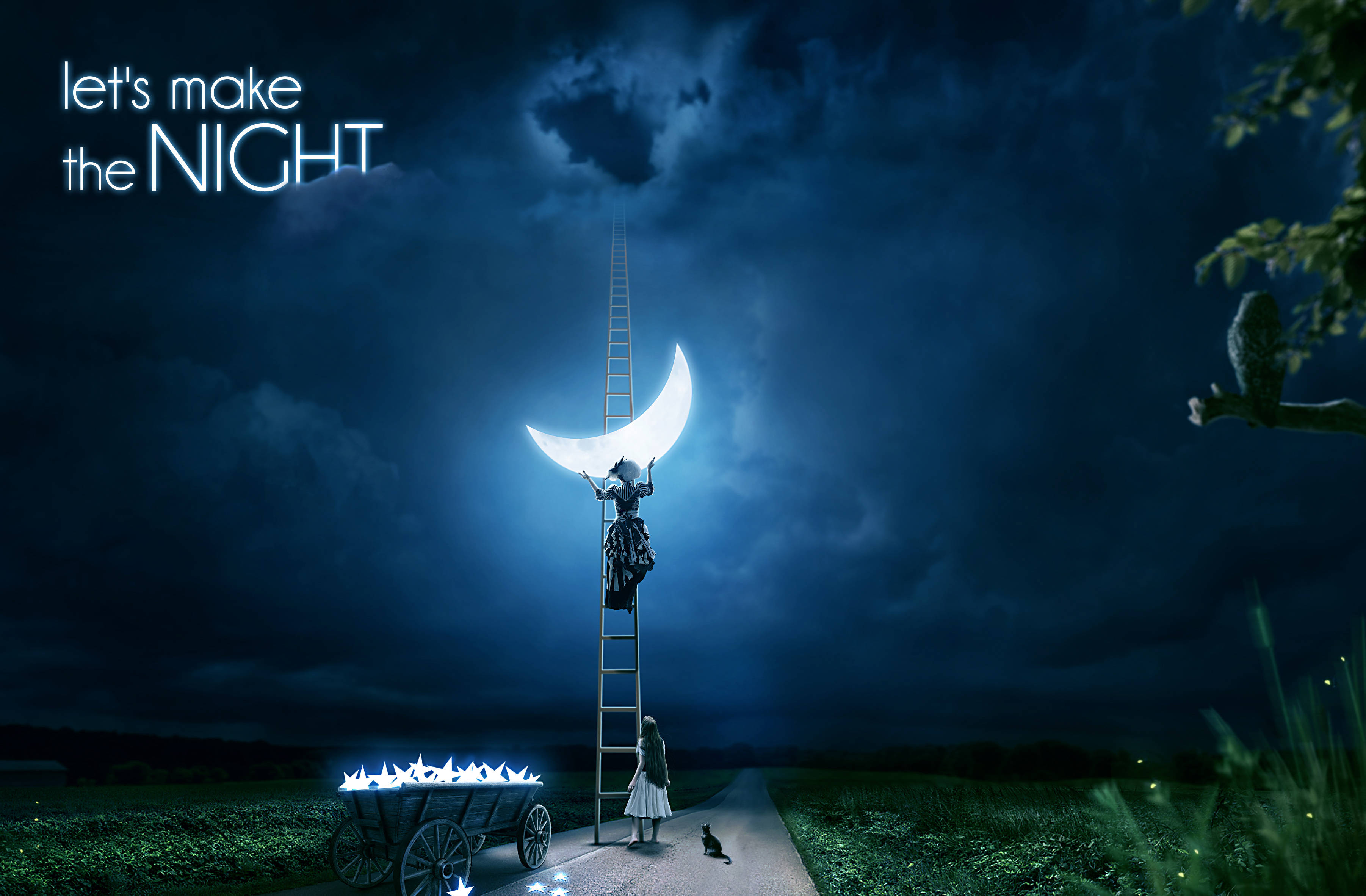 夜空 桌布 壁紙 — 一個孩子爬上梯子走向發光的彎月，另一個孩子則站在下方，推著一輛裝滿星星的手推車，在漆黑的夜空下。