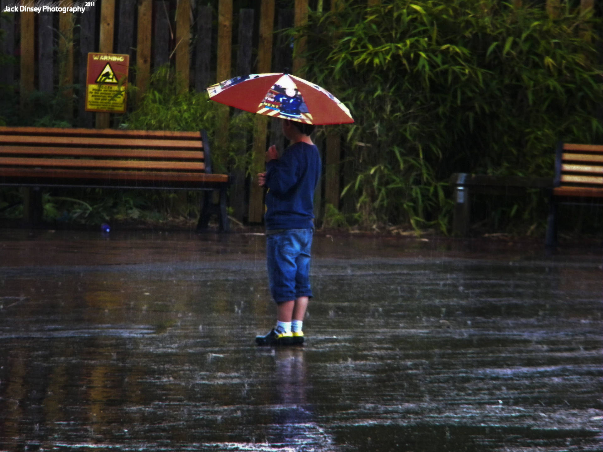 孩子在雨中公園拿著雨傘，有長椅和竹子 — 單身男孩 壁紙