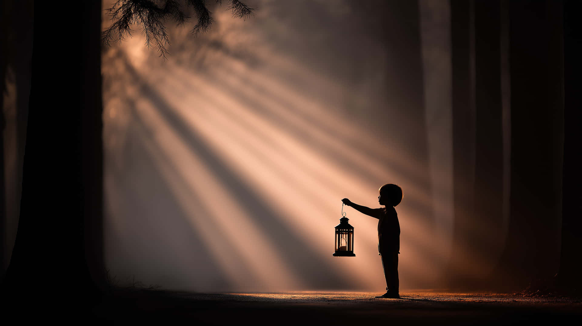 Child's Silhouette with Lantern in Beams of Forest Light 壁紙 — 一個孩子的剪影提著燈籠，金色的陽光穿過森林樹冠照射下來。