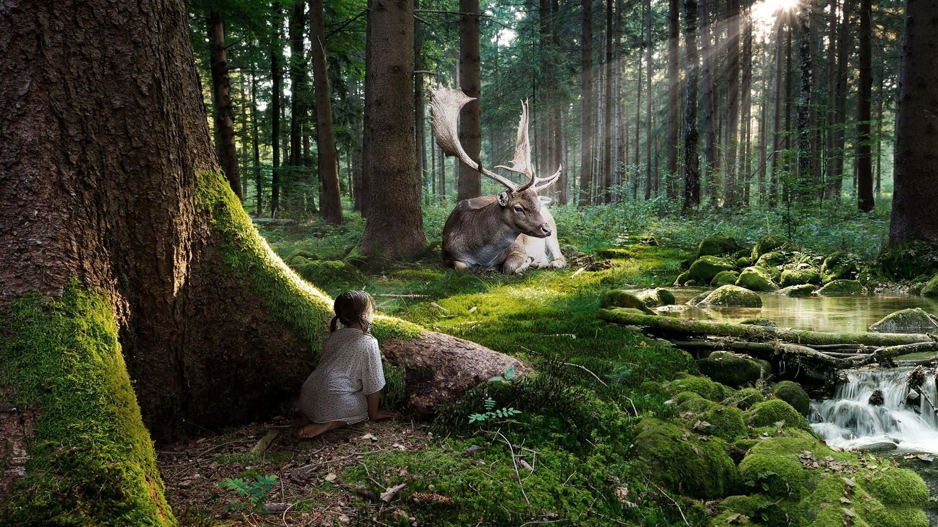 Fairy Forest 桌布 壁紙 — 一個孩子跪在長滿青苔的樹幹旁，在陽光明媚的森林中，一頭擁有巨大鹿角的雄偉鹿隻在潺潺溪流附近休息。