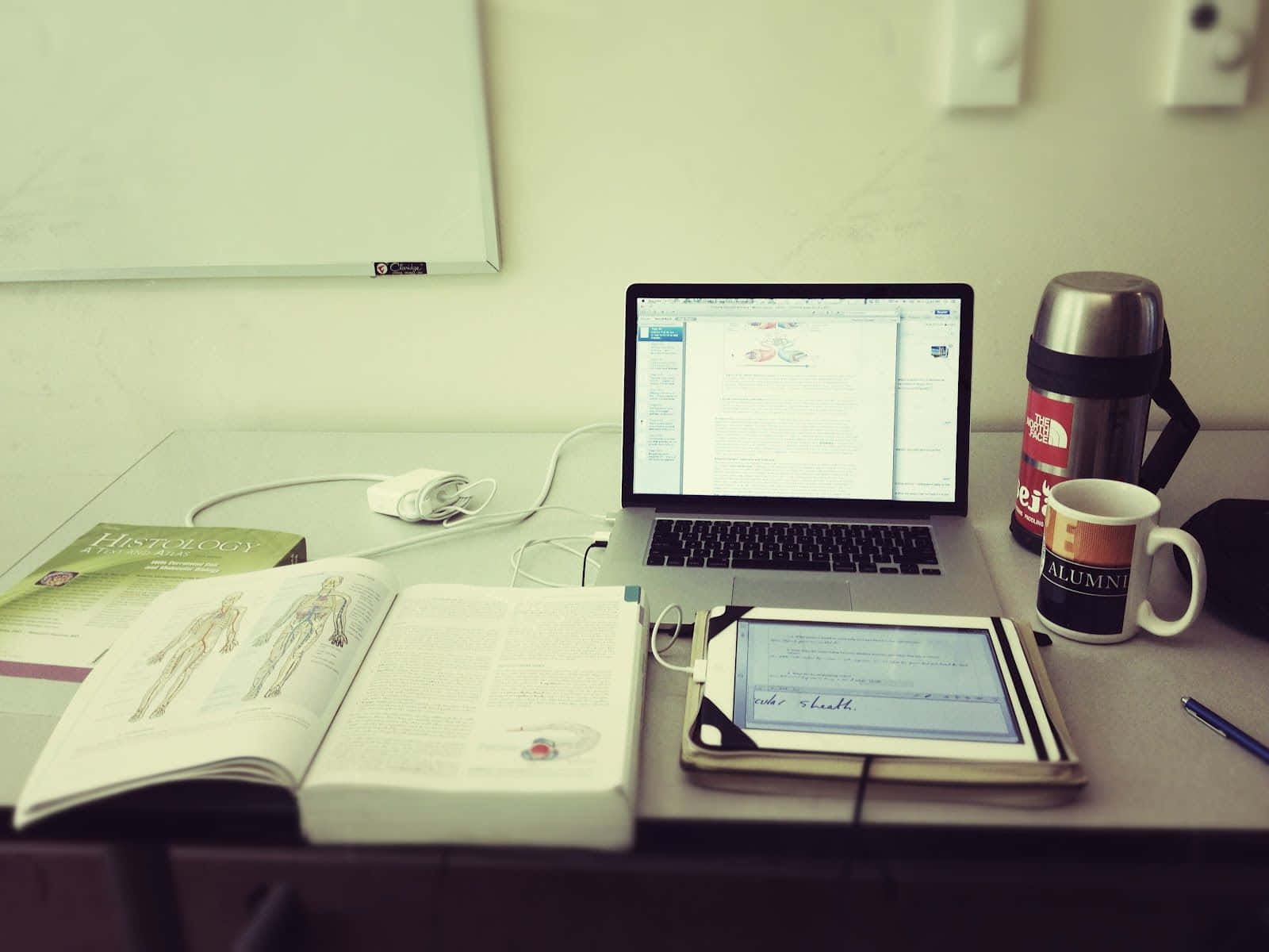 Studying 桌布 壁紙 — 一個學習書桌設置，包含打開的解剖學教科書、筆記型電腦、平板電腦、保溫瓶和馬克杯，在溫暖的室內燈光下。
