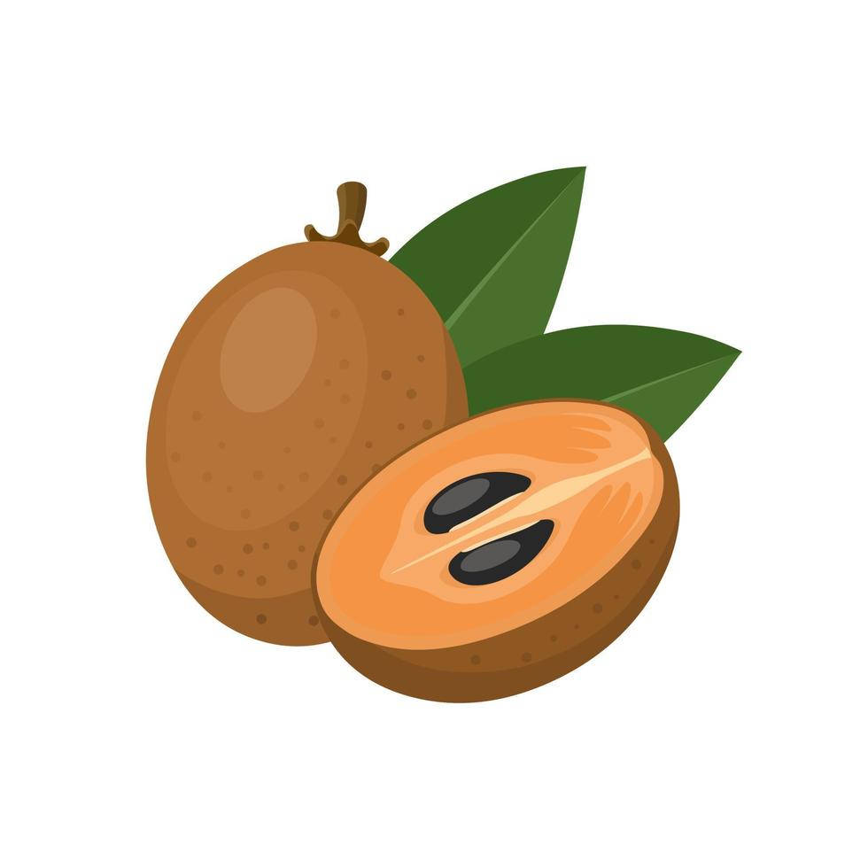 Fruits 桌布 壁紙 — 一個完整和切半的棕色水果，帶有黑色種子和綠色葉子，放在白色背景上。