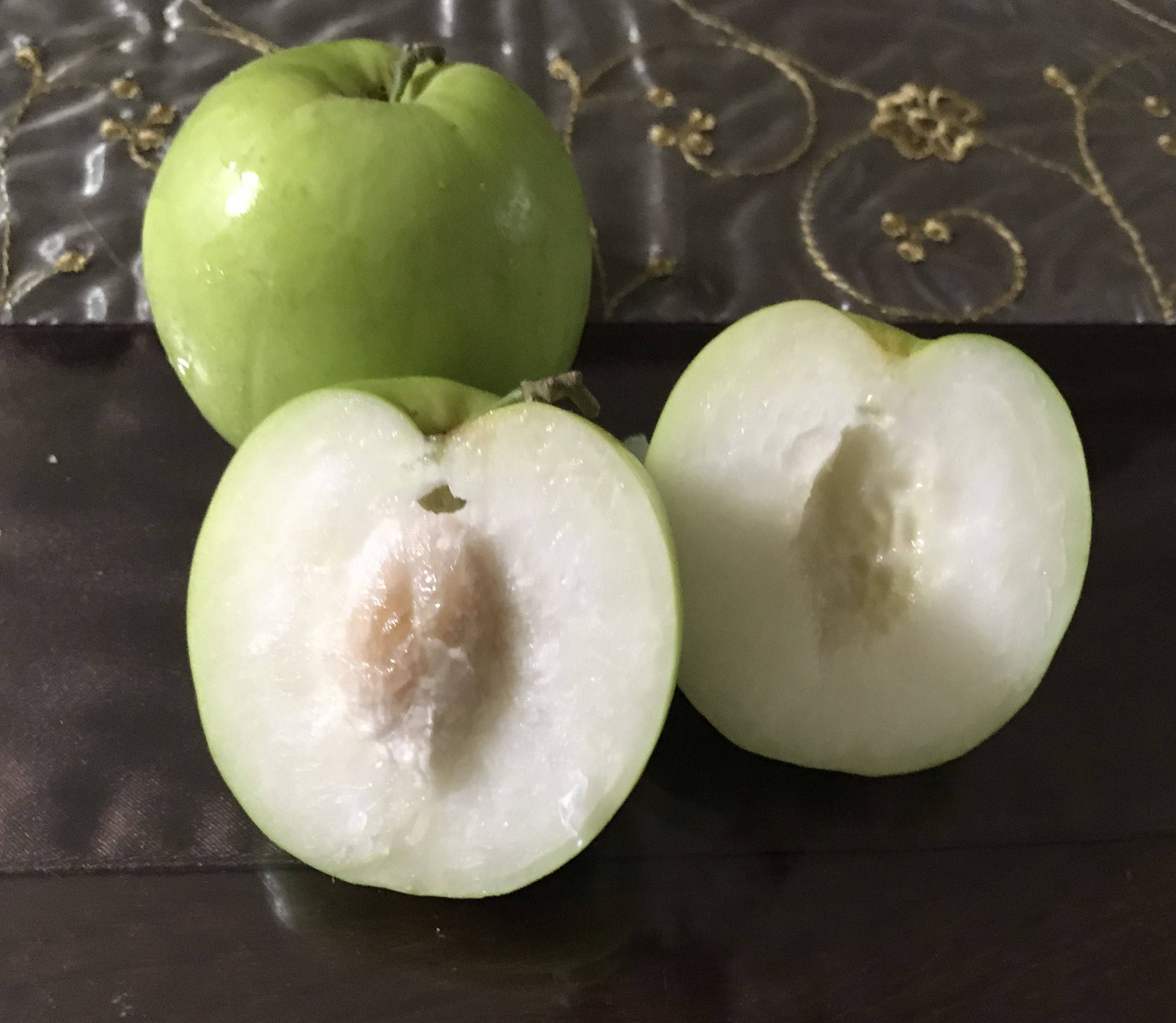 sliced 桌布 壁紙 — 一個完整和切半的綠色芭樂，帶有白色果肉和種子，放在深色圖案布料上。