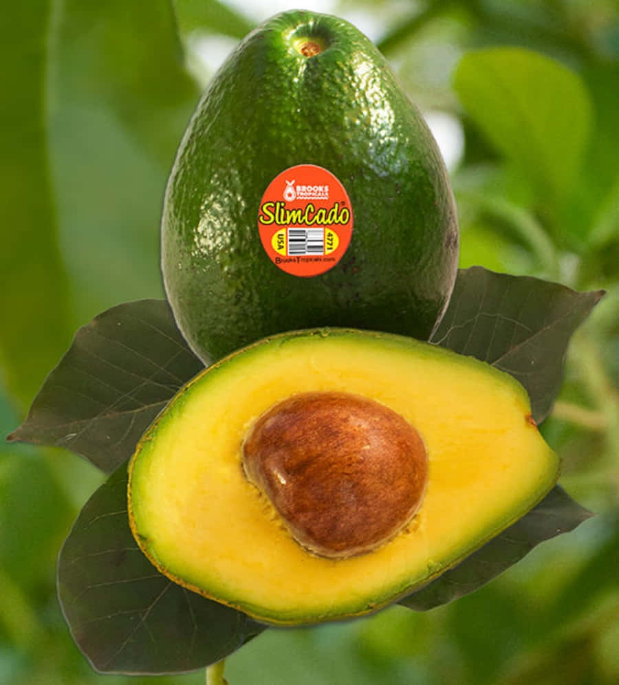 Avocado 桌布 壁紙 — 一個完整和半切的酪梨，帶有棕色果核，放在深綠色葉子上，背景是模糊的綠色。