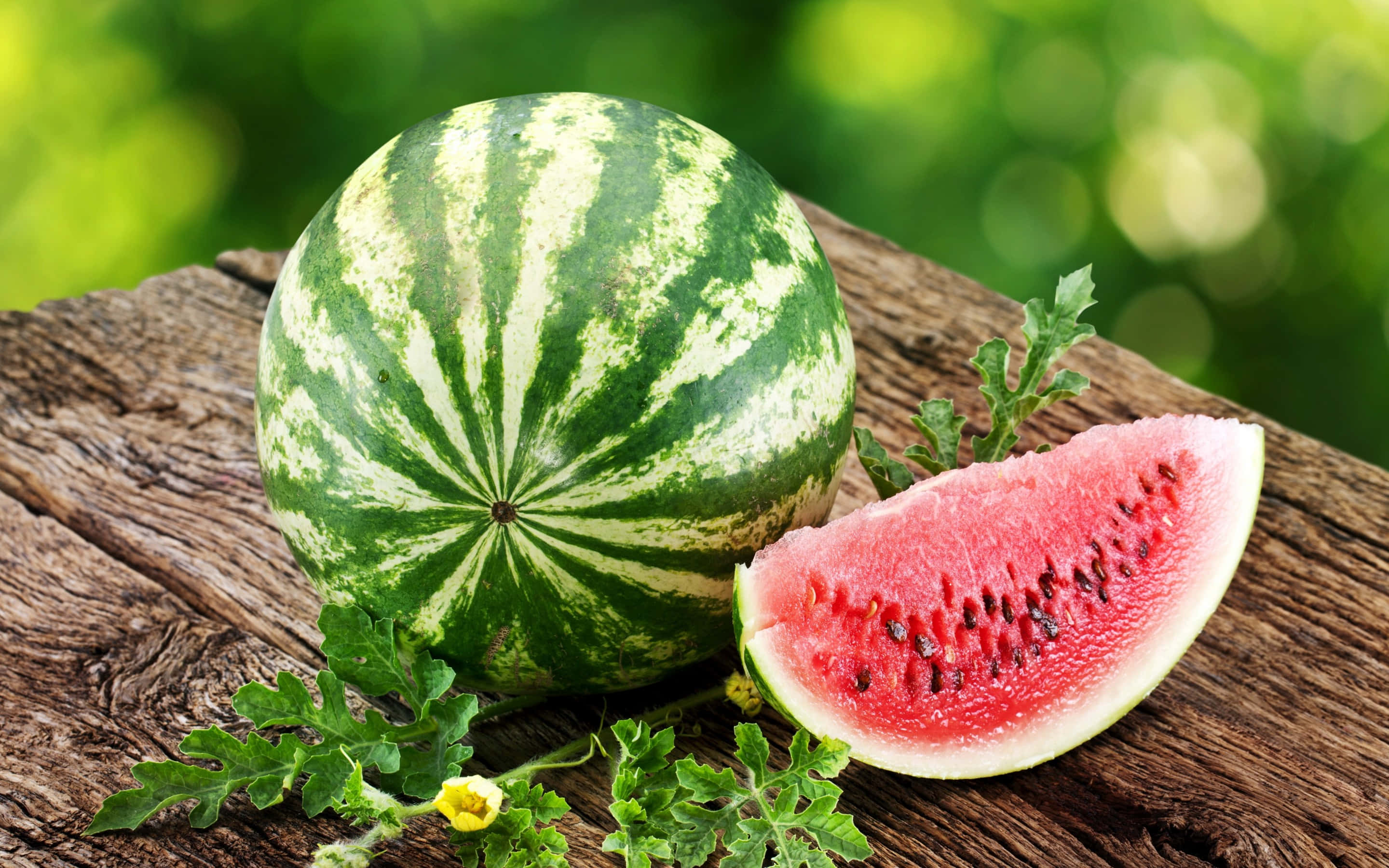 Fruit 桌布 壁紙 — 一個完整的條紋西瓜和多汁的紅色切片放在經風化的木質表面上，周圍有綠色樹葉和模糊的花園背景。
