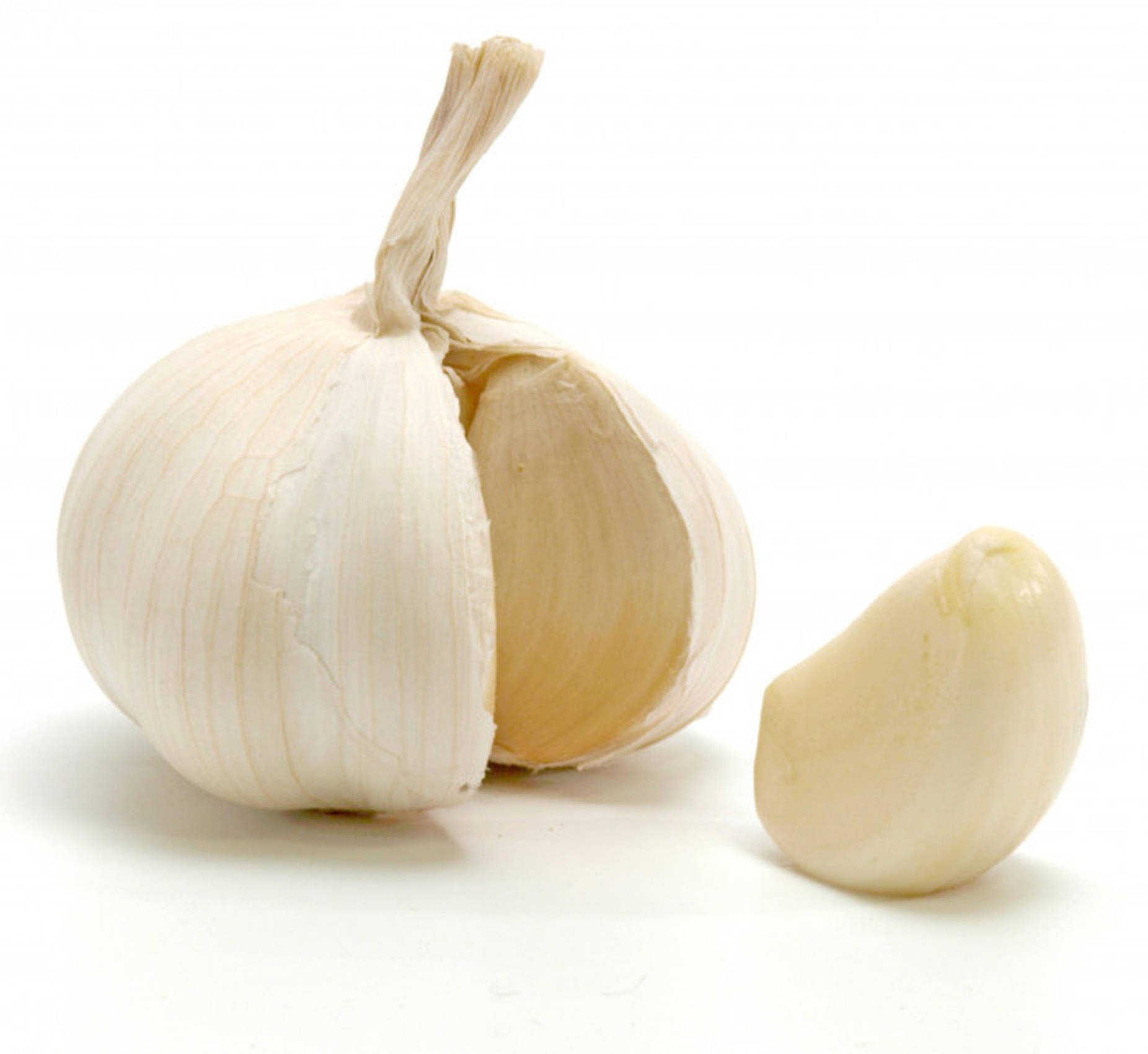 Garlic 桌布 壁紙 — 一個完整的蒜頭，其中一瓣分離，放在乾淨的白色表面上，展現紙質外皮和奶油色內部。