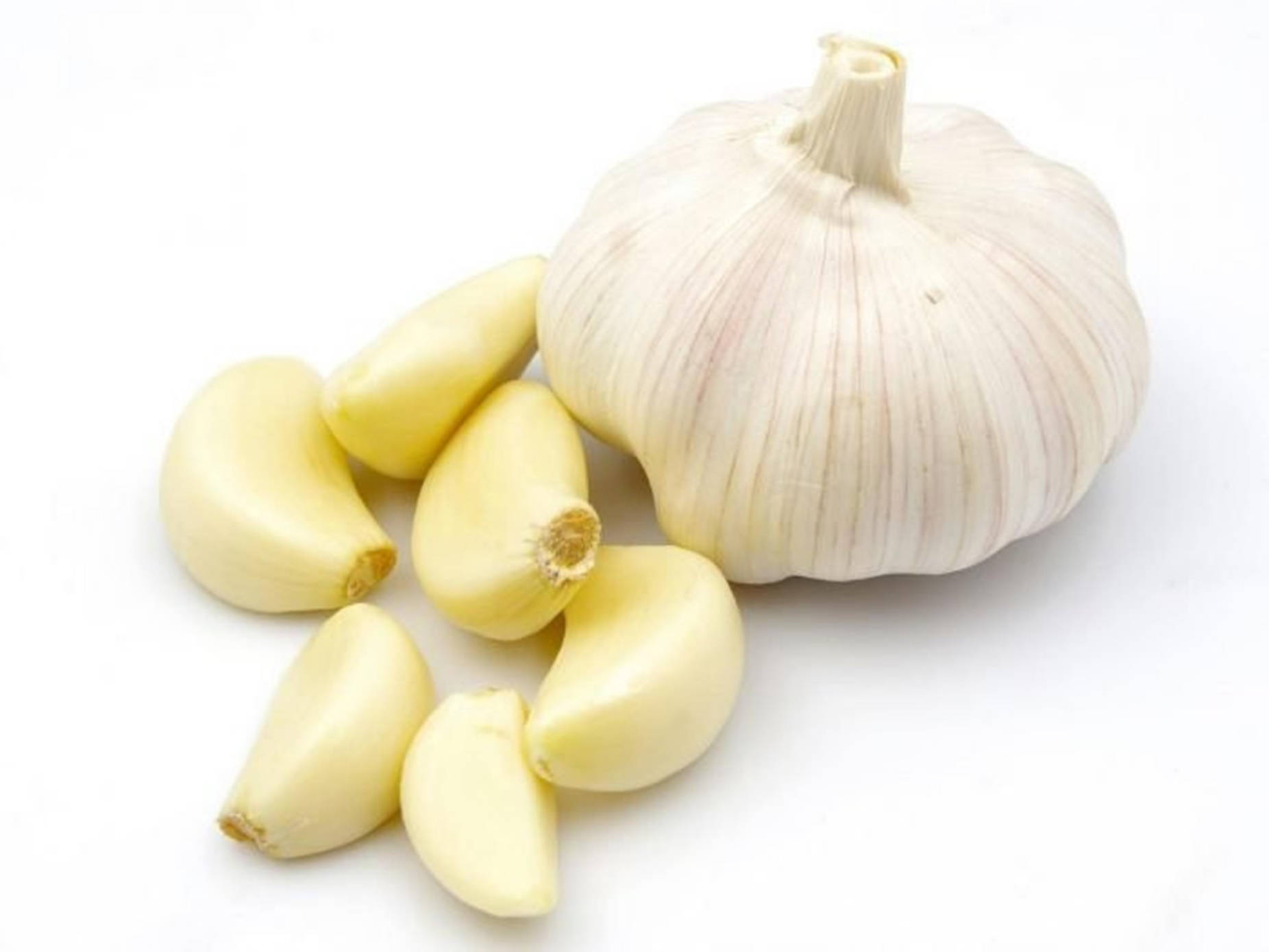Garlic 桌布 壁紙 — 一個完整的蒜頭和幾個剝了皮的蒜瓣，整齊地擺放在乾淨的白色表面上，光線柔和。