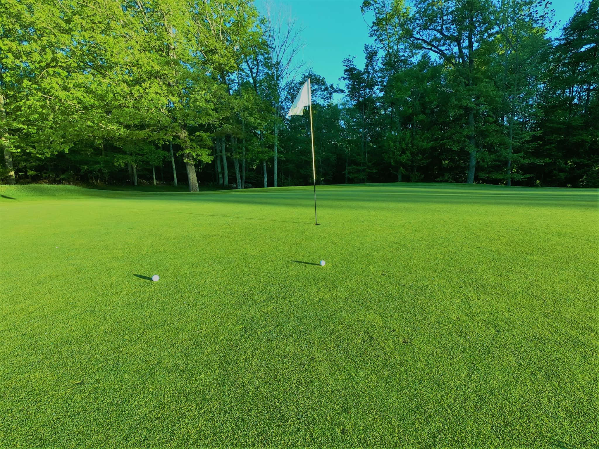 Golf Green 桌布 壁紙 — 一個完美無瑕的高爾夫果嶺，兩個球靠近球洞，四周環繞著茂密的樹木，頭頂是清澈的藍天。