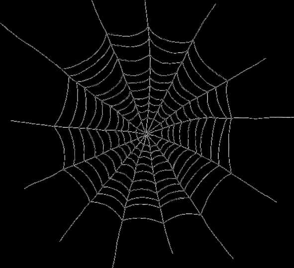 Spiderman Web 桌布 壁紙 — 一個完美的白色蜘蛛網從中心點向純黑色背景輻射開來。