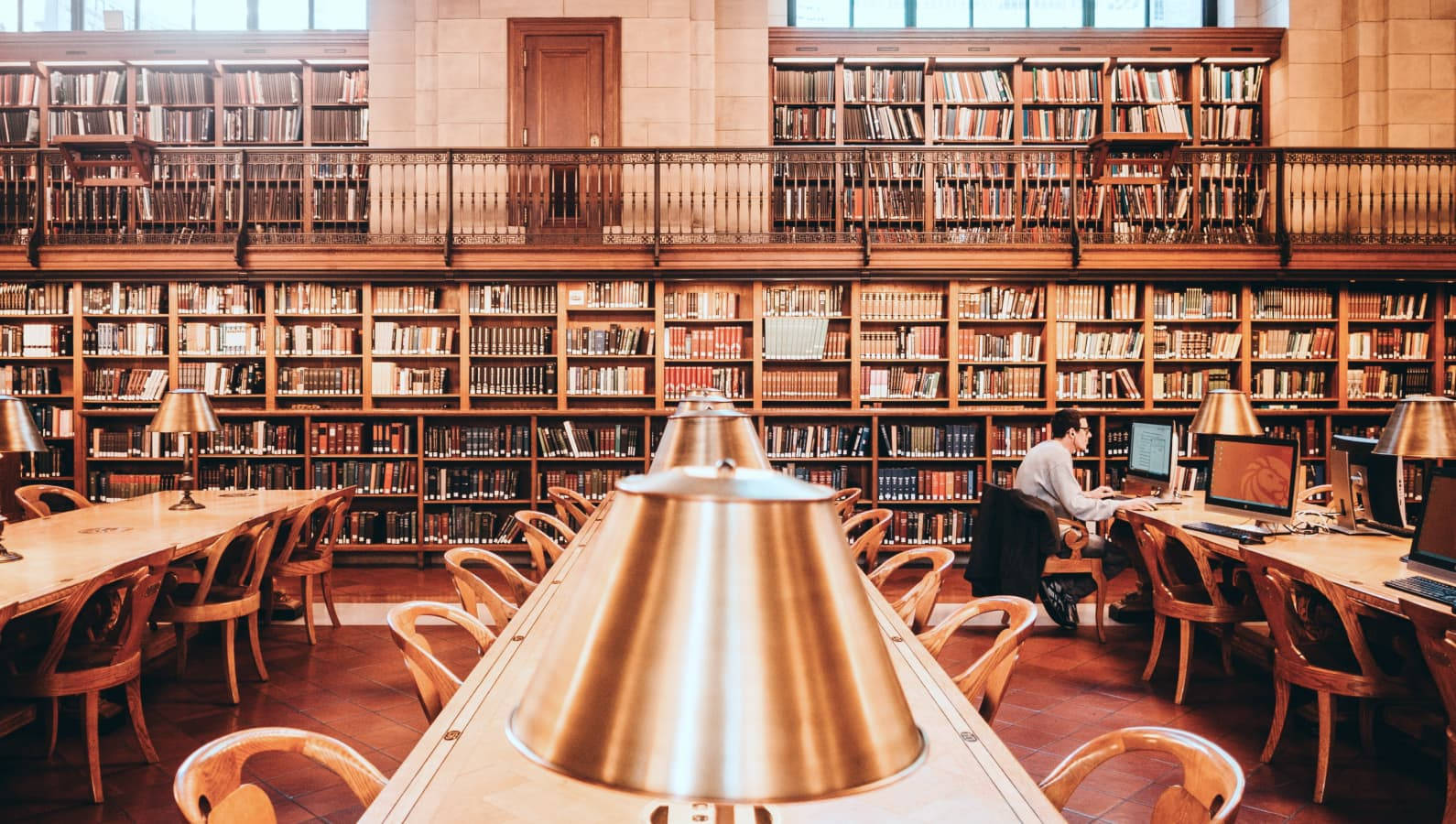 Library 桌布 壁紙 — 一個宏偉的圖書館，擁有高聳的木書架和溫暖的燈光，照亮了書桌，一個人在那裡工作。