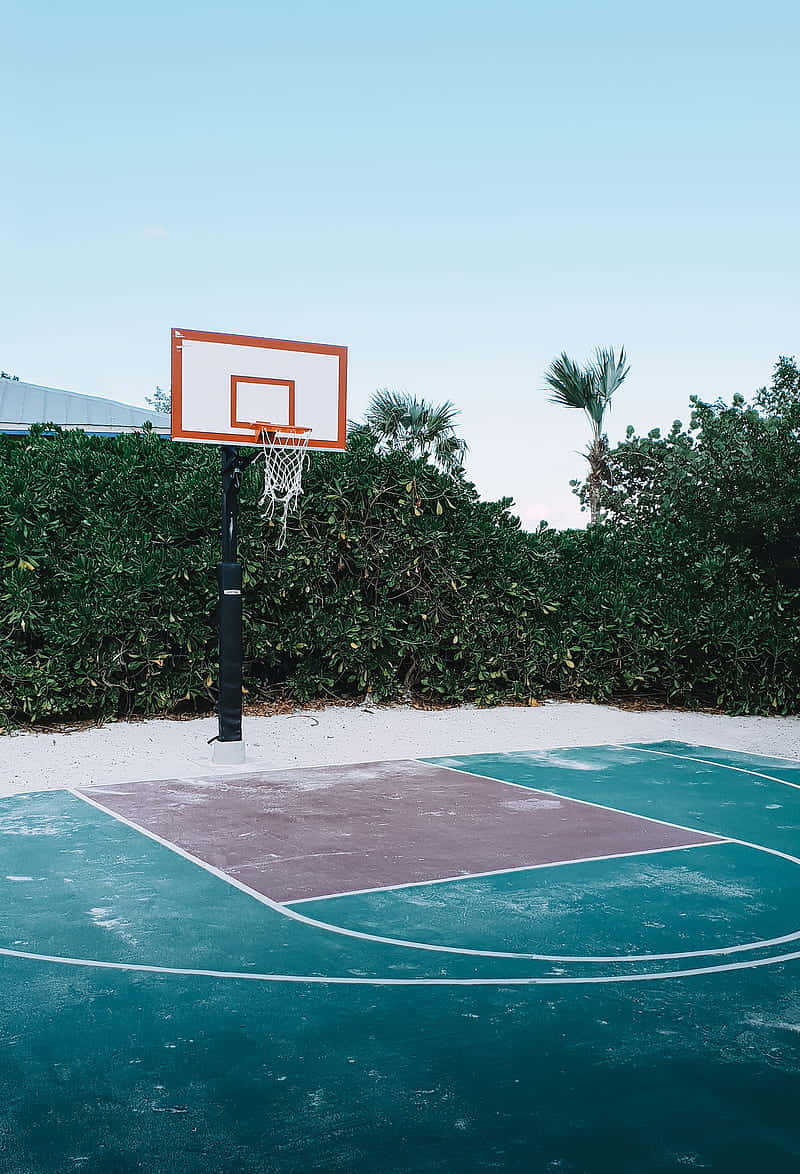 Basketball Court 桌布 壁紙 — 一個室外籃球場，表面經風化呈綠色，白線清晰，在晴朗藍天下，四周環繞著茂密的綠色籬笆和棕櫚樹。