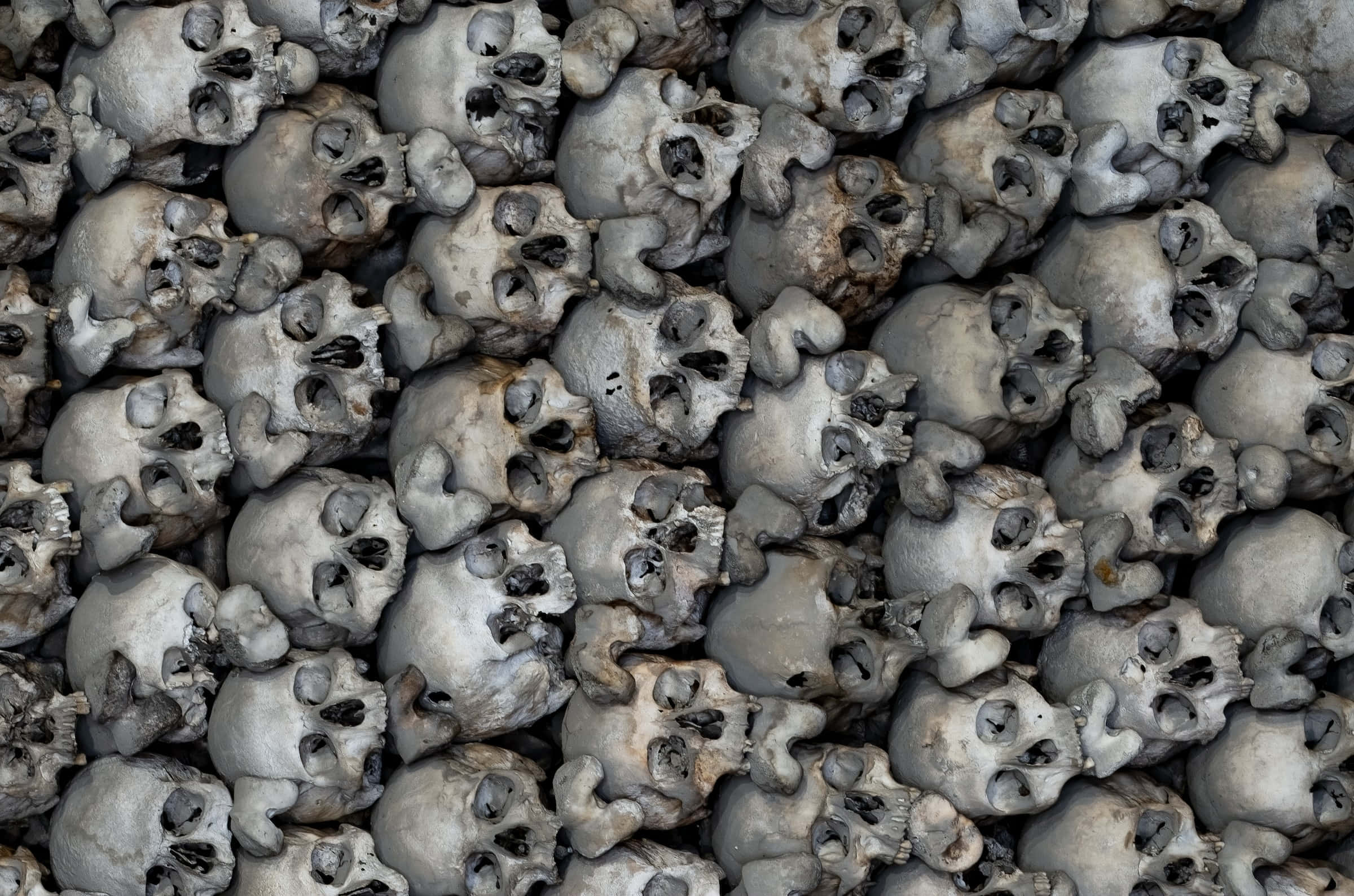 Halloween Skeleton 桌布 壁紙 — 一個密集、令人難忘的特寫鏡頭，展示風化的人類頭骨以陰沉的單色圖案堆疊在一起。