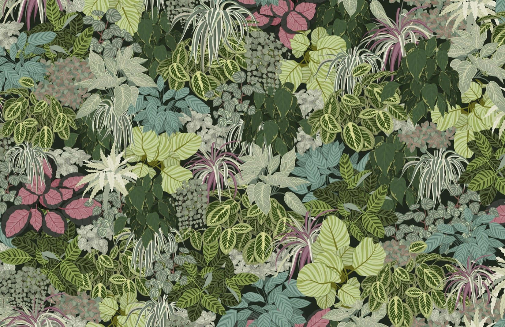 Plant 桌布 壁紙 — 一個密集、充滿活力的植物圖案，在深色背景上呈現出綠色、藍綠色和粉紅色的各種葉子形狀。
