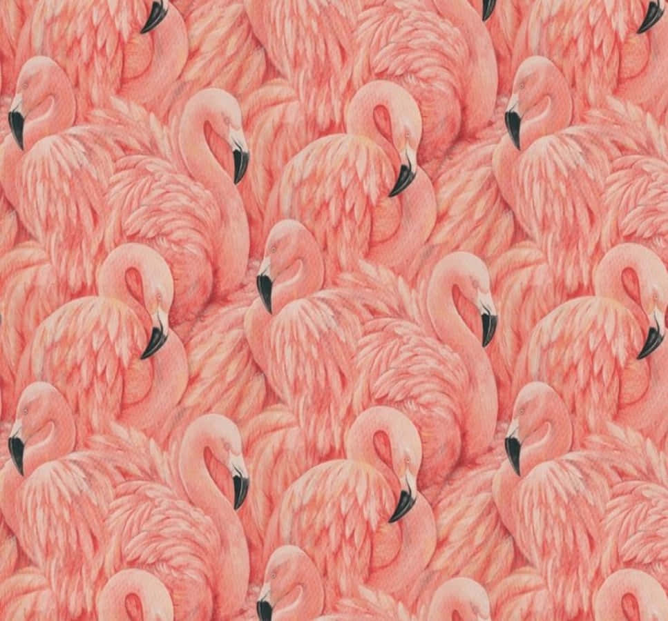 Pink Flamingos 桌布 壁紙 — 一個密集的粉紅色火烈鳥圖案，帶有黑色喙和柔軟羽毛質感，以重複的壁紙設計填滿畫面。