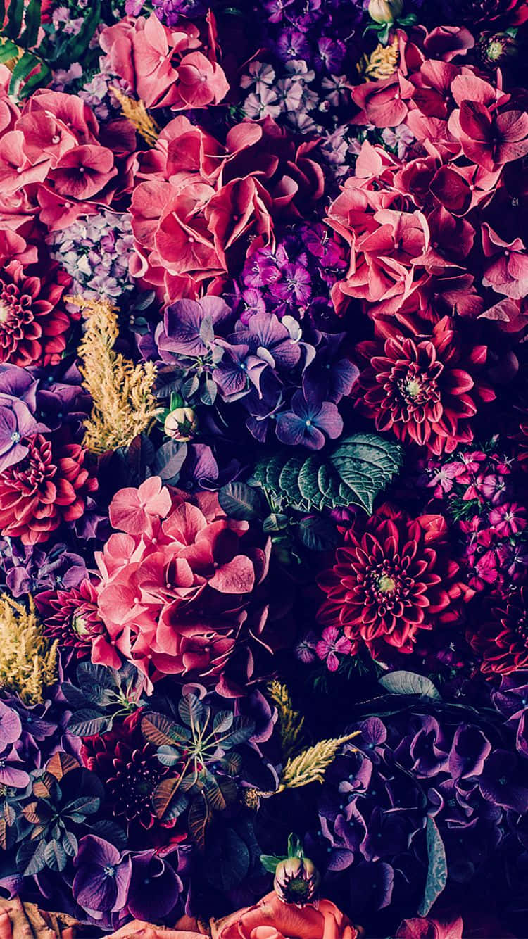 Flowers Aesthetic 桌布 壁紙 — 一個密集而充滿活力的花卉佈置，深粉紅色、紫色和洋紅色的花朵在深綠色葉子中綻放。