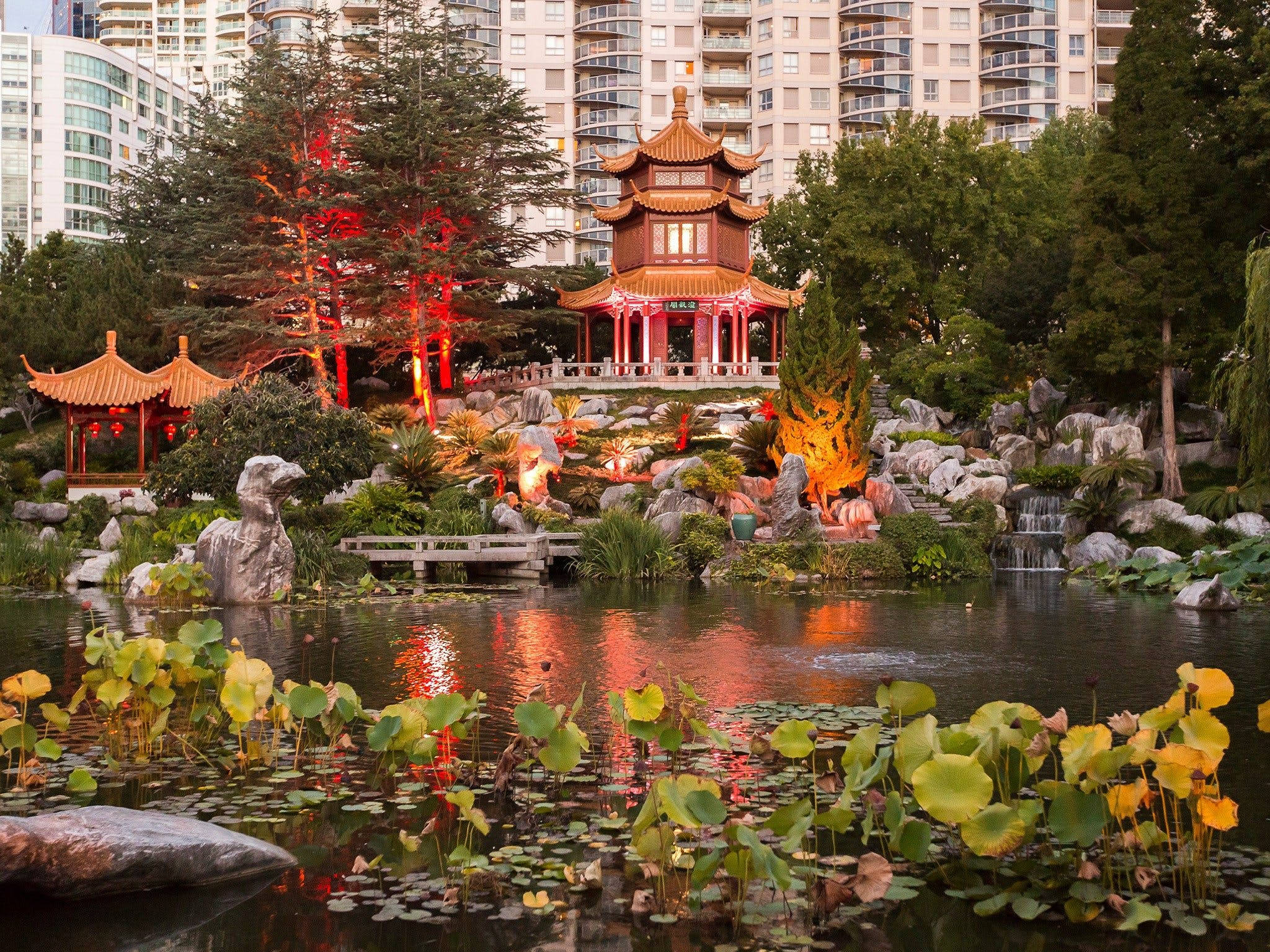 Sydney 桌布 壁紙 — 一個寧靜的中式花園池塘，有荷葉和發光的燈籠倒映在水中，周圍是黃昏時分的現代高樓大廈。