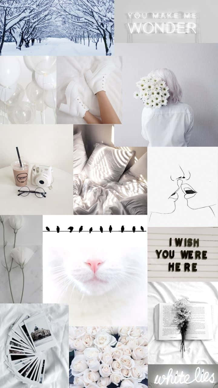 White Aesthetic Collage 桌布 壁紙 — 一個寧靜的冬季主題拼貼畫，包含被雪覆蓋的樹木、白玫瑰、貓的鼻子，以及帶有柔和光線的極簡線條藝術。