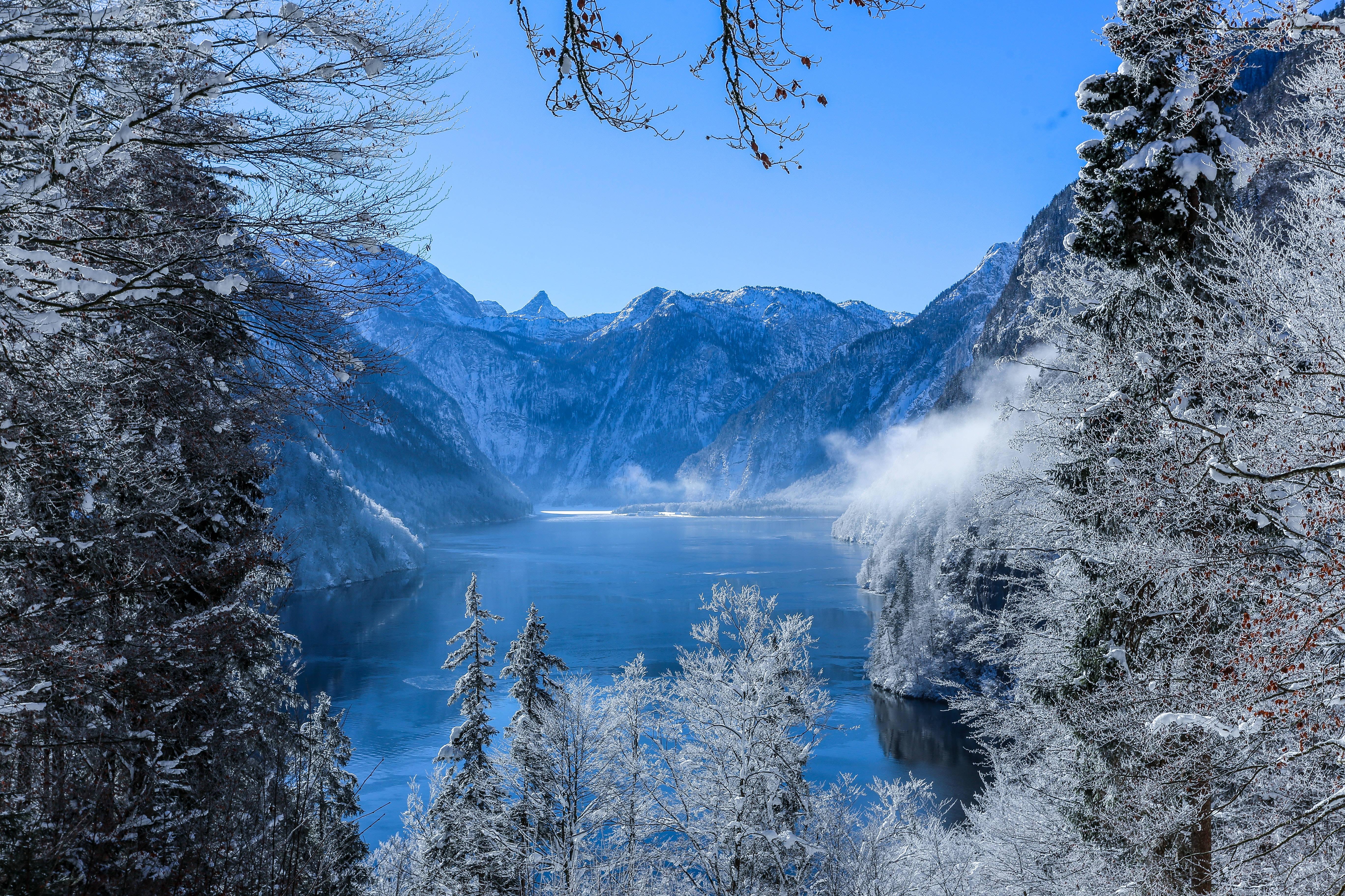 森林湖泊 桌布 壁紙 — 一個寧靜的冬日湖泊，坐落於白雪覆蓋的山巒之間，清澈的藍天下，被霜凍的樹木環繞。
