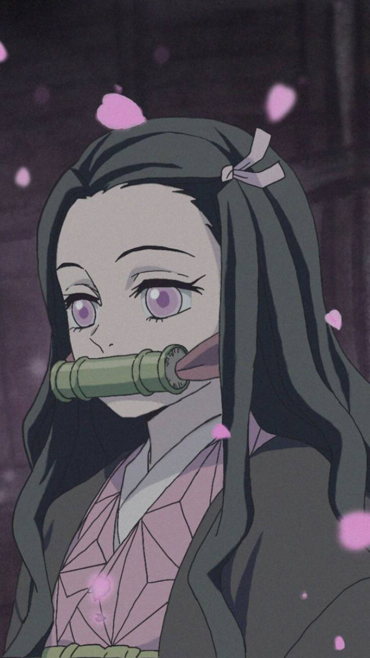 禰豆子 桌布 壁紙 — 一個寧靜的動漫女孩，紫色眼睛和深色頭髮，手持竹管，粉紅色的櫻花在昏暗的場景中飄落。
