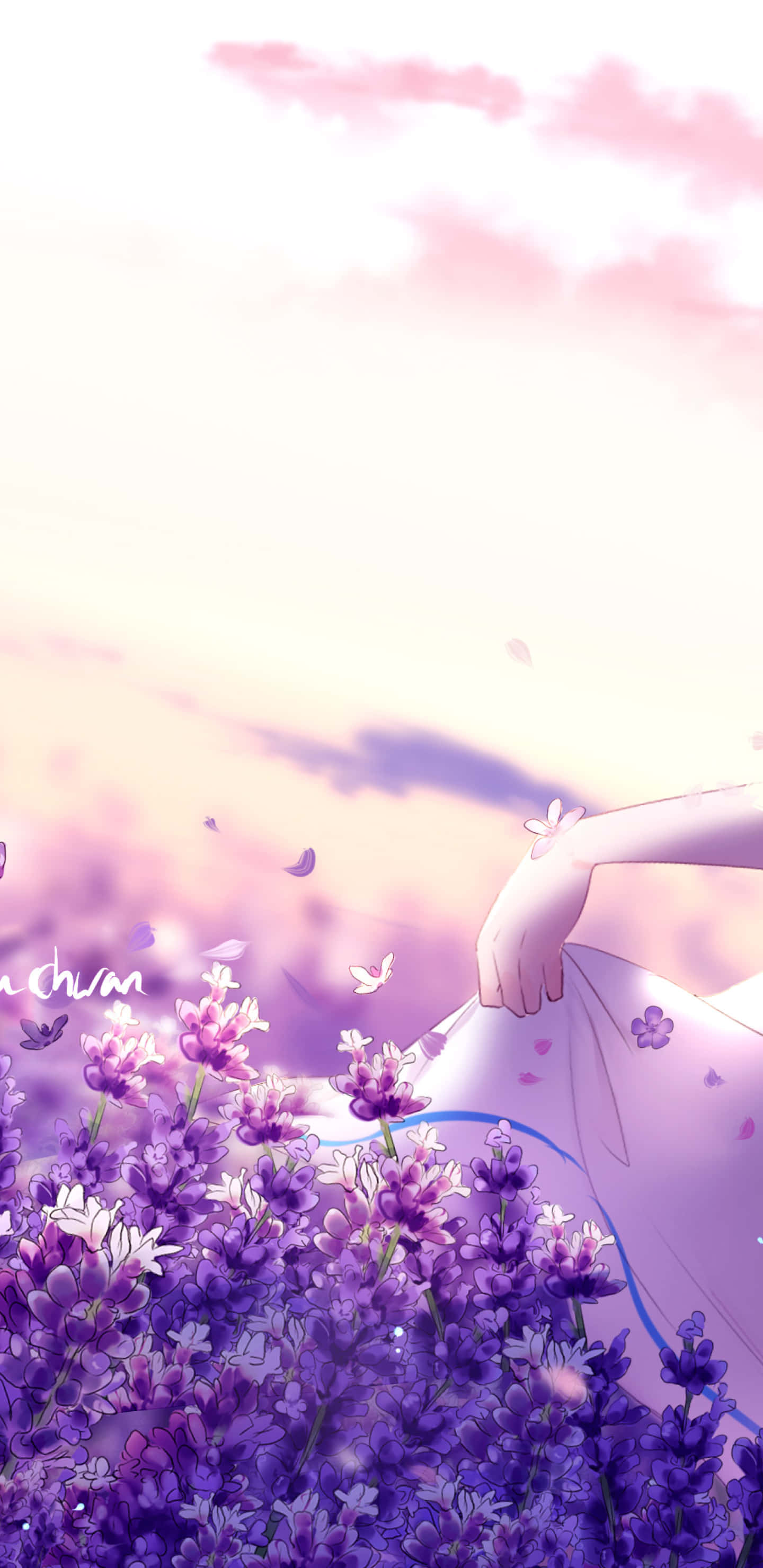Anime Flower 桌布 壁紙 — 一個寧靜的動漫女孩穿著飄逸的白色連衣裙，在柔和的粉紅色和薰衣草色的日落天空下，輕輕觸摸紫色的薰衣草花。