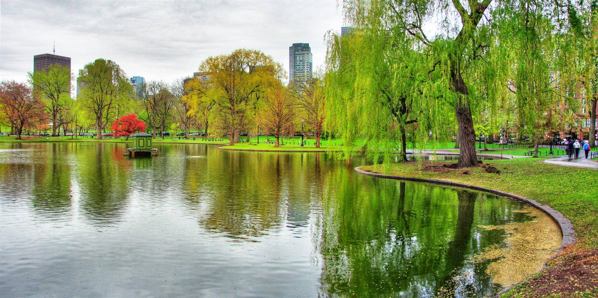 Boston 桌布 壁紙 — 一個寧靜的城市公園池塘，周圍環繞著充滿活力的綠色和秋色樹木，背景是高樓大廈。