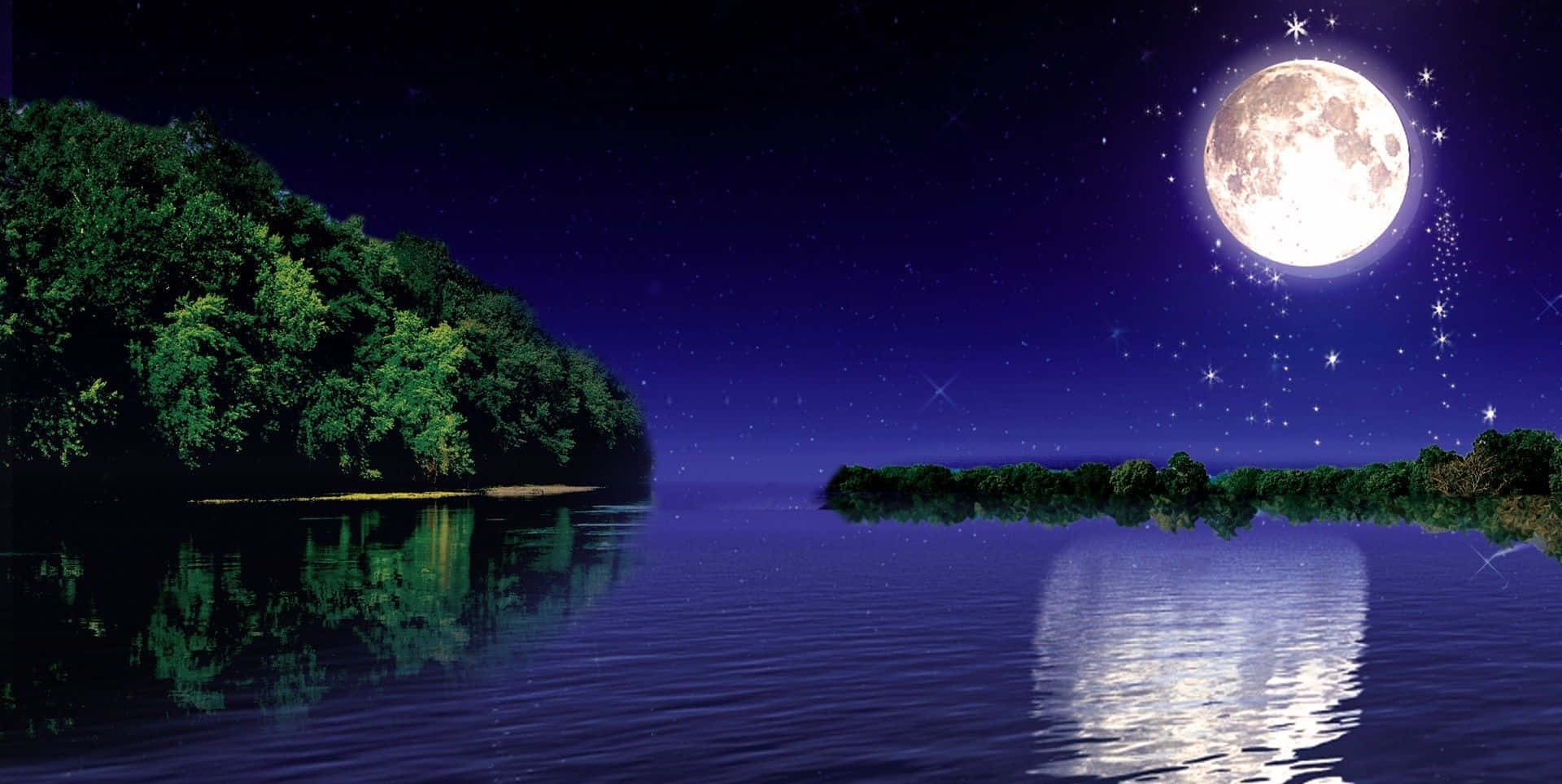 Moonlight 桌布 壁紙 — 一個寧靜的夜晚場景，滿月倒映在平靜的水面上，四周環繞著茂密的綠樹。