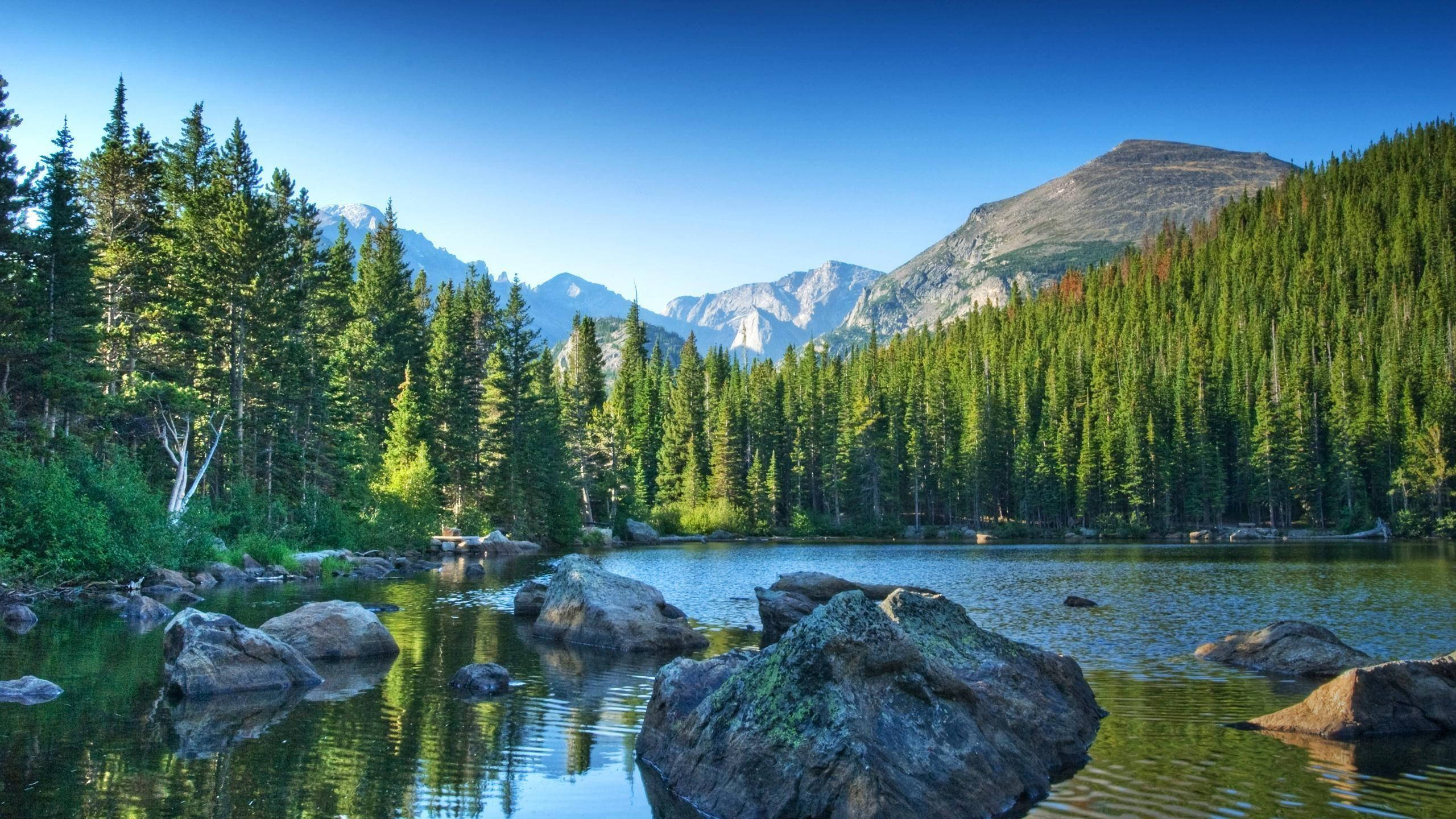 山景 桌布 壁紙 — 一個寧靜的山中湖泊，四周被茂密的常綠森林和岩石海岸環繞，上方是清澈的藍天。