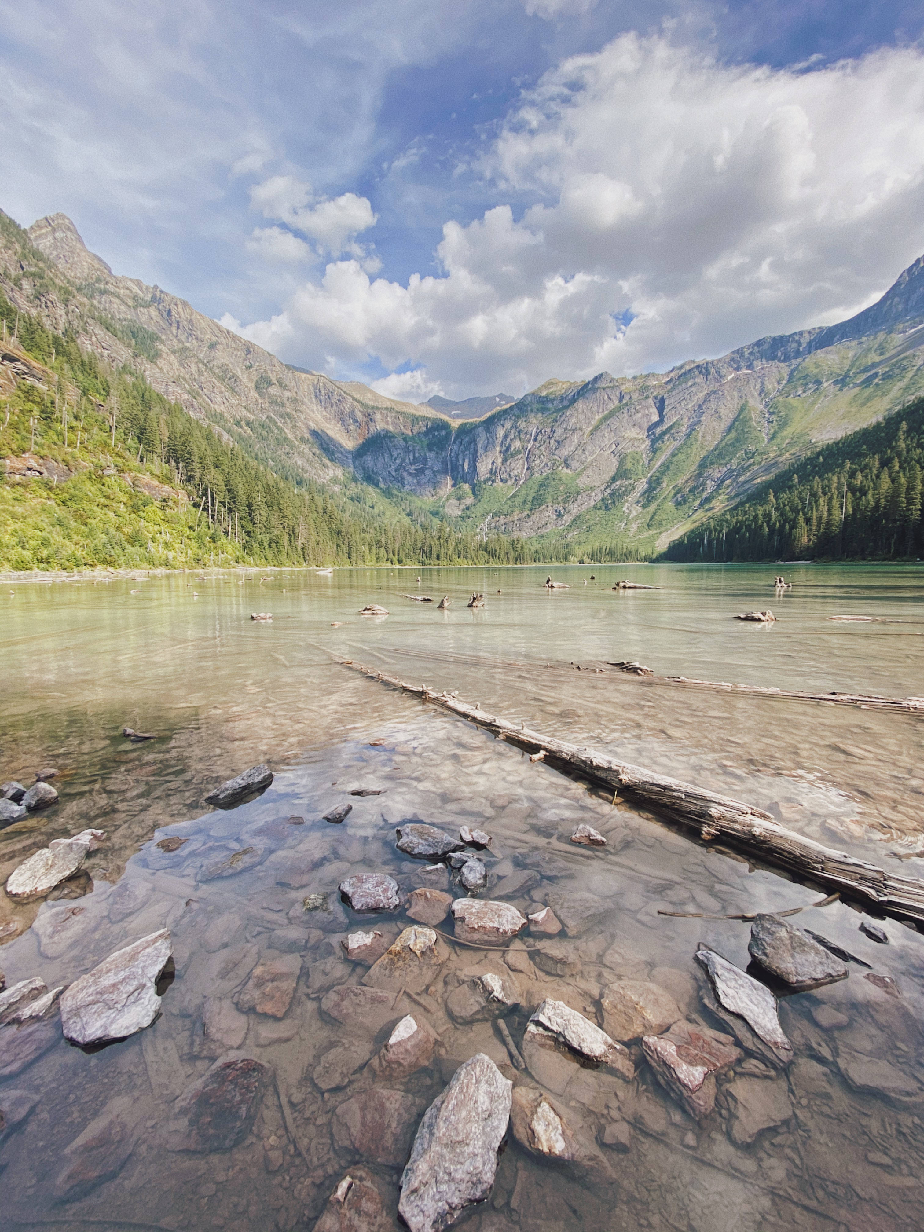 Montana 桌布 壁紙 — 一個寧靜的山間湖泊，清澈的湖水顯露出岩石和木頭，周圍是茂密的綠色森林和聳立的山峰，天空多雲，藍天白雲。