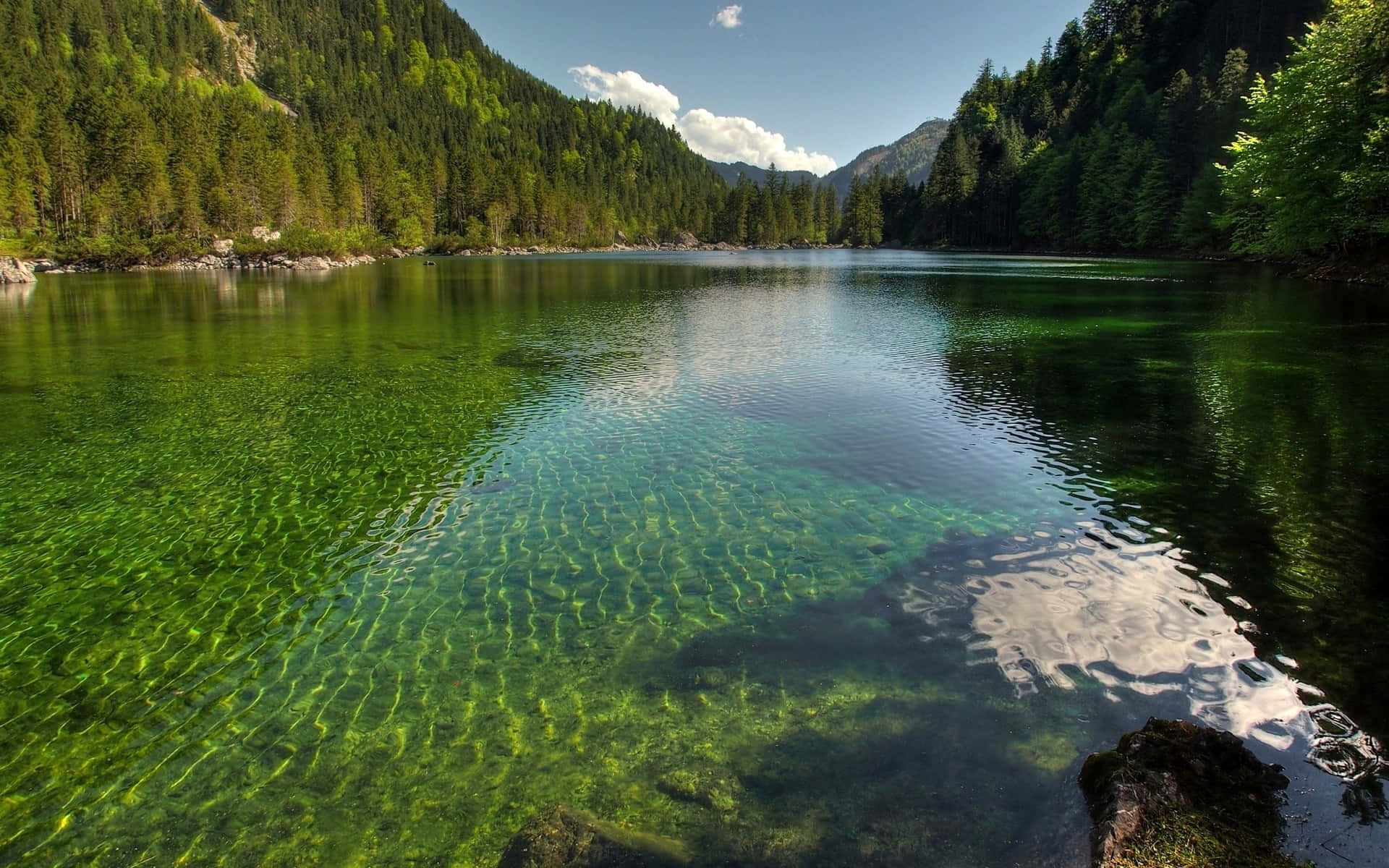 Lake 桌布 壁紙 — 一個寧靜的山間湖泊，清澈的翠綠色湖水倒映著明亮的藍天和鬱鬱蔥蔥的森林覆蓋的湖岸。