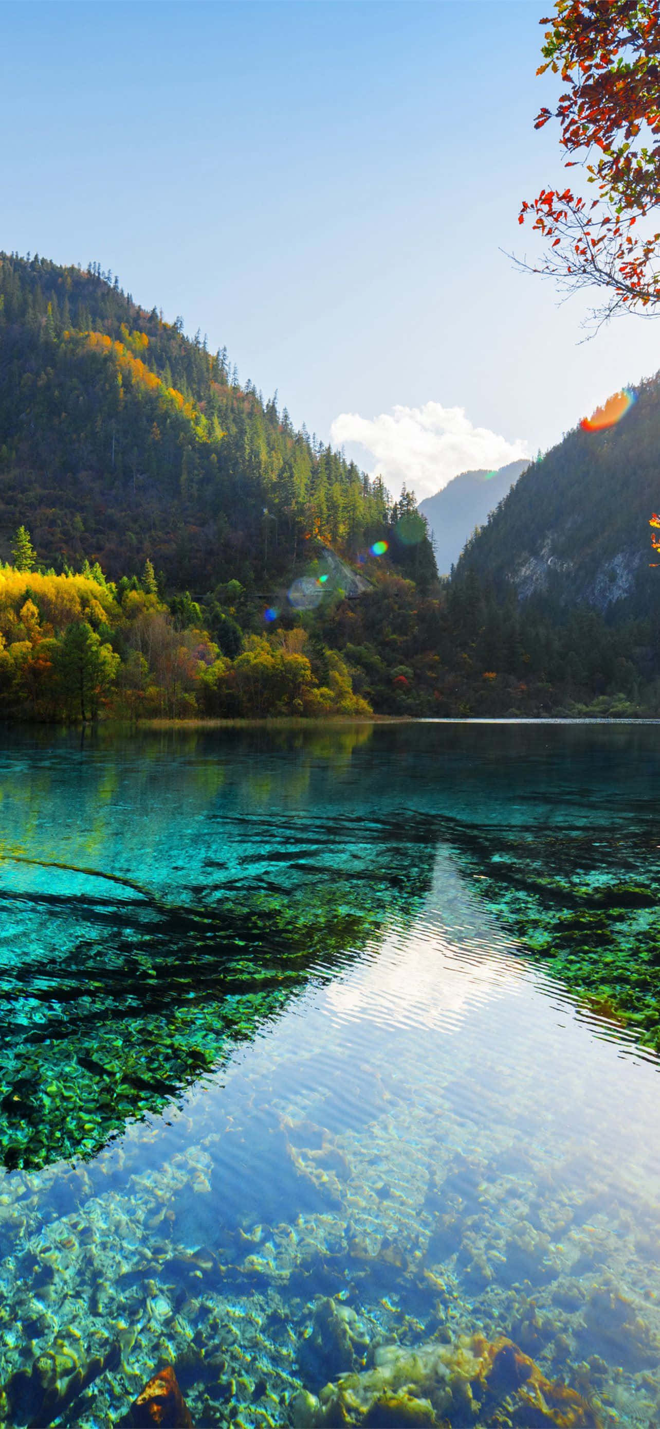 Cool Nature 桌布 壁紙 — 一個寧靜的山間湖泊，清澈碧綠的湖水倒映著秋日的樹木和明亮的藍天。