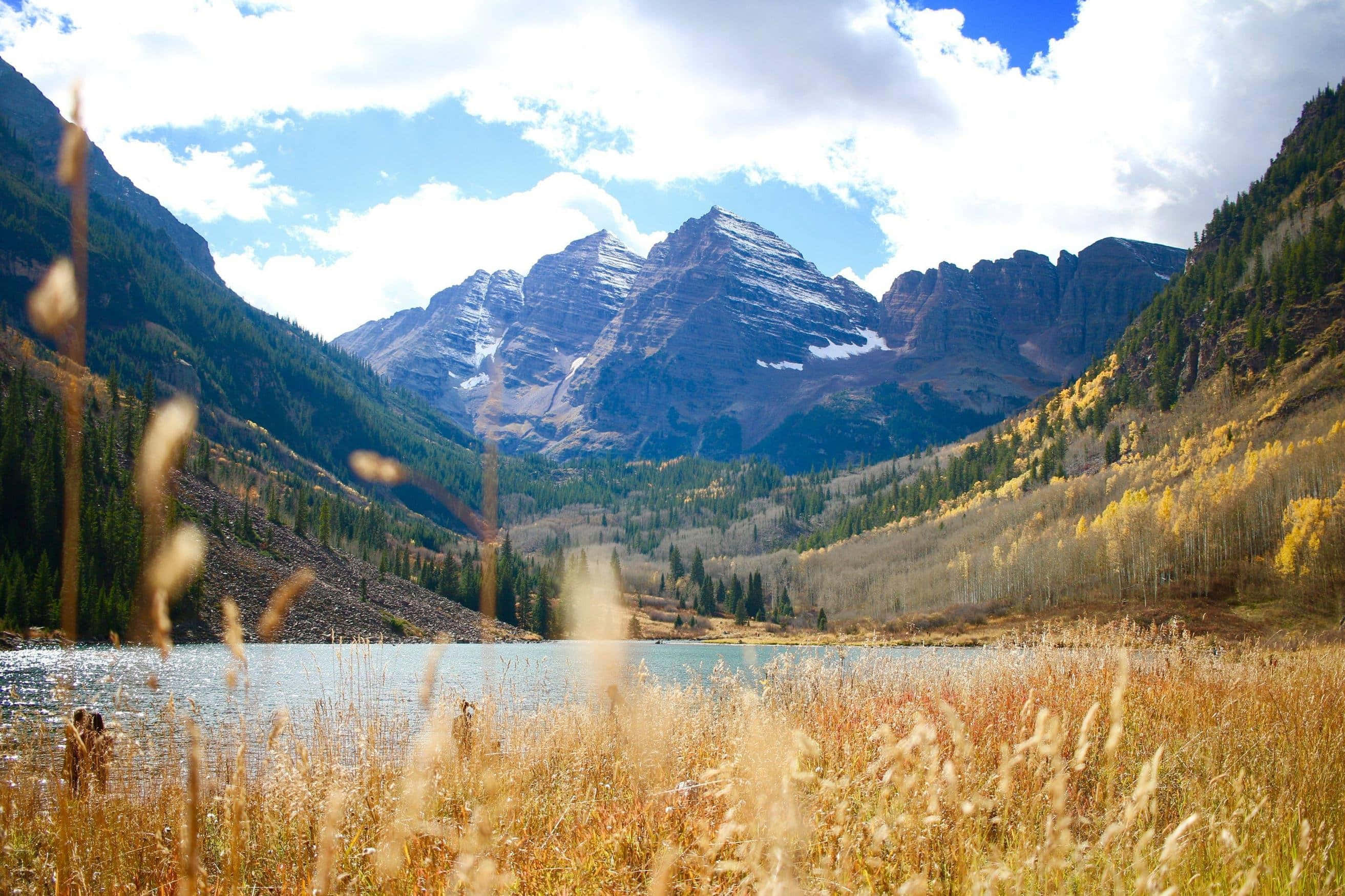 Aspen Colorado 桌布 壁紙 — 一個寧靜的山間湖泊，被金色草叢環繞，雪峰和秋樹在明亮的藍天下。