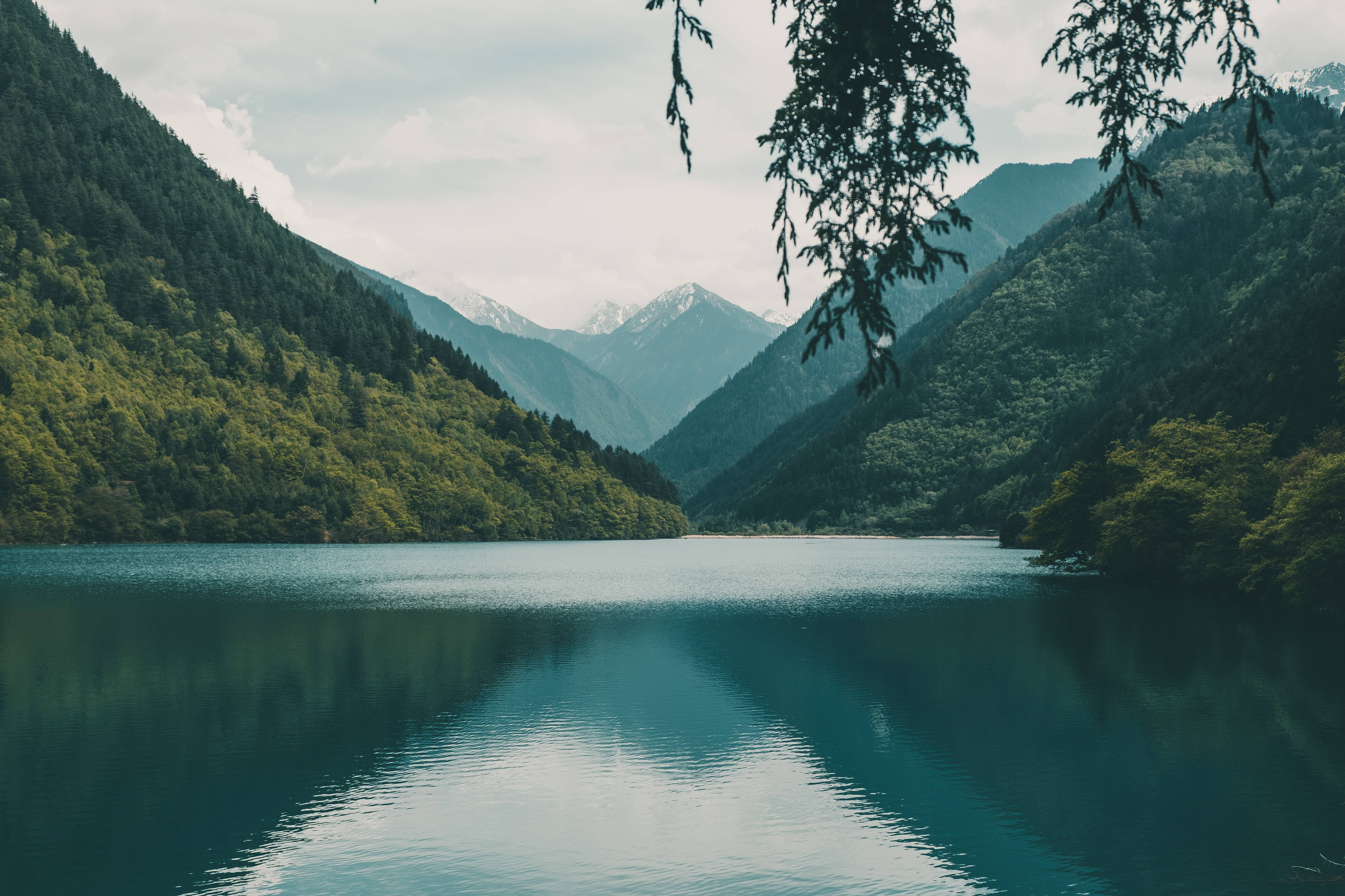 Lake 桌布 壁紙 — 一個寧靜的山間湖泊映照出森林覆蓋的山坡和積雪的山峰，天空多雲，懸垂的樹枝框住了景色。