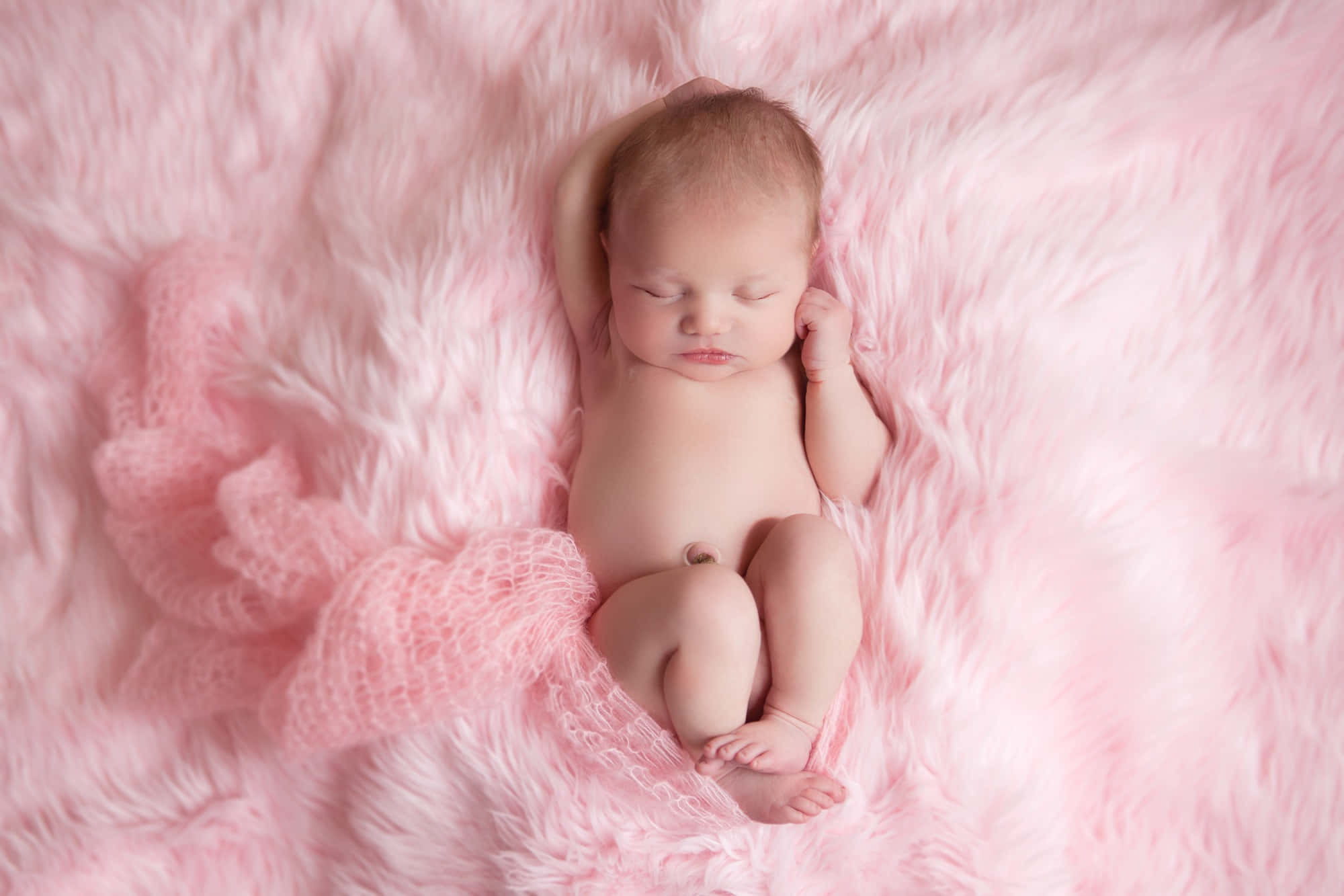 Newborn Baby 桌布 壁紙 — 一個寧靜的新生嬰兒在柔軟蓬鬆的粉紅色毯子上安詳地睡覺，附近垂掛著精緻的粉紅色網紗。