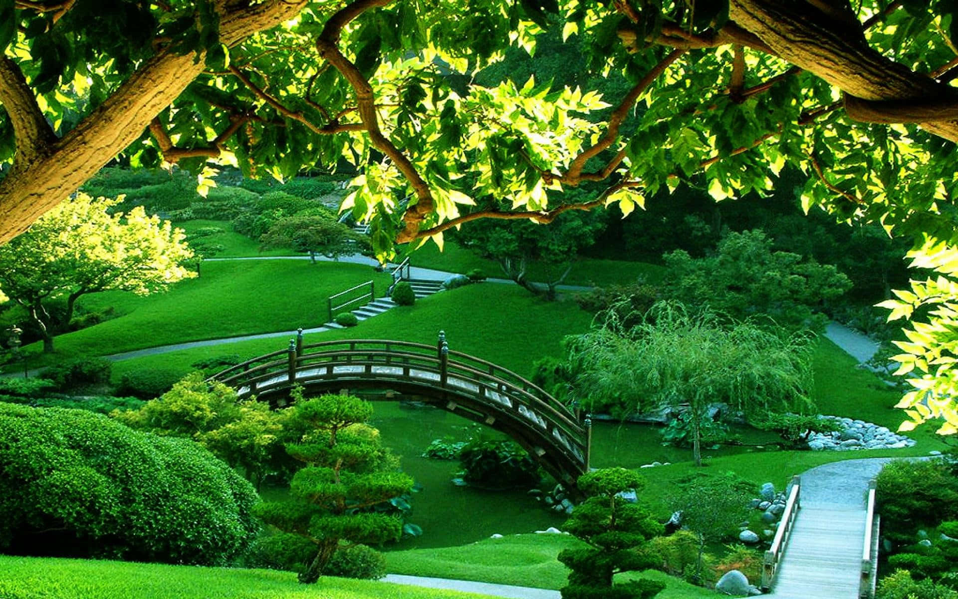 Nature Garden 桌布 壁紙 — 一個寧靜的日本花園，有一座木橋拱起在池塘上，周圍環繞著茂密的綠樹和修剪整齊的草坪。