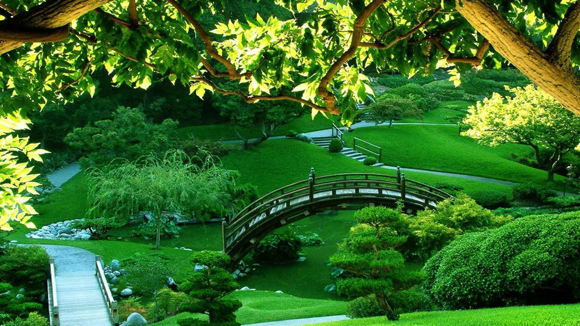公園 桌布 壁紙 — 一個寧靜的日本花園，有一座木製拱橋橫跨在一個被茂密綠植和蜿蜒小徑環繞的平靜池塘上。