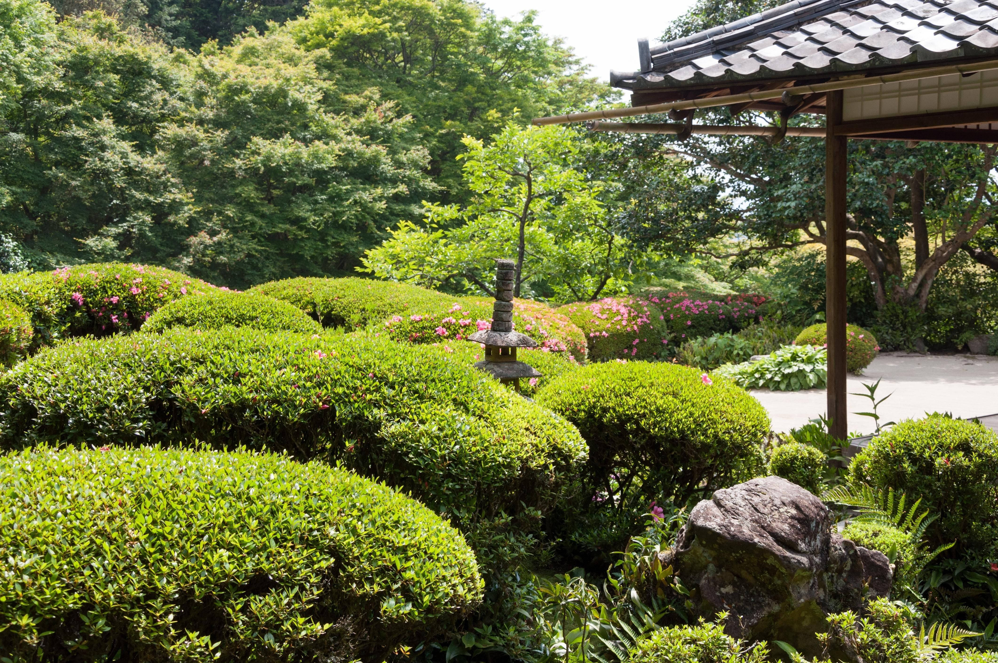 禪 桌布 壁紙 — 一個寧靜的日本花園，有修剪整齊的綠色樹籬、粉紅色的花朵、石燈籠和傳統的木亭，在明亮的日光下。