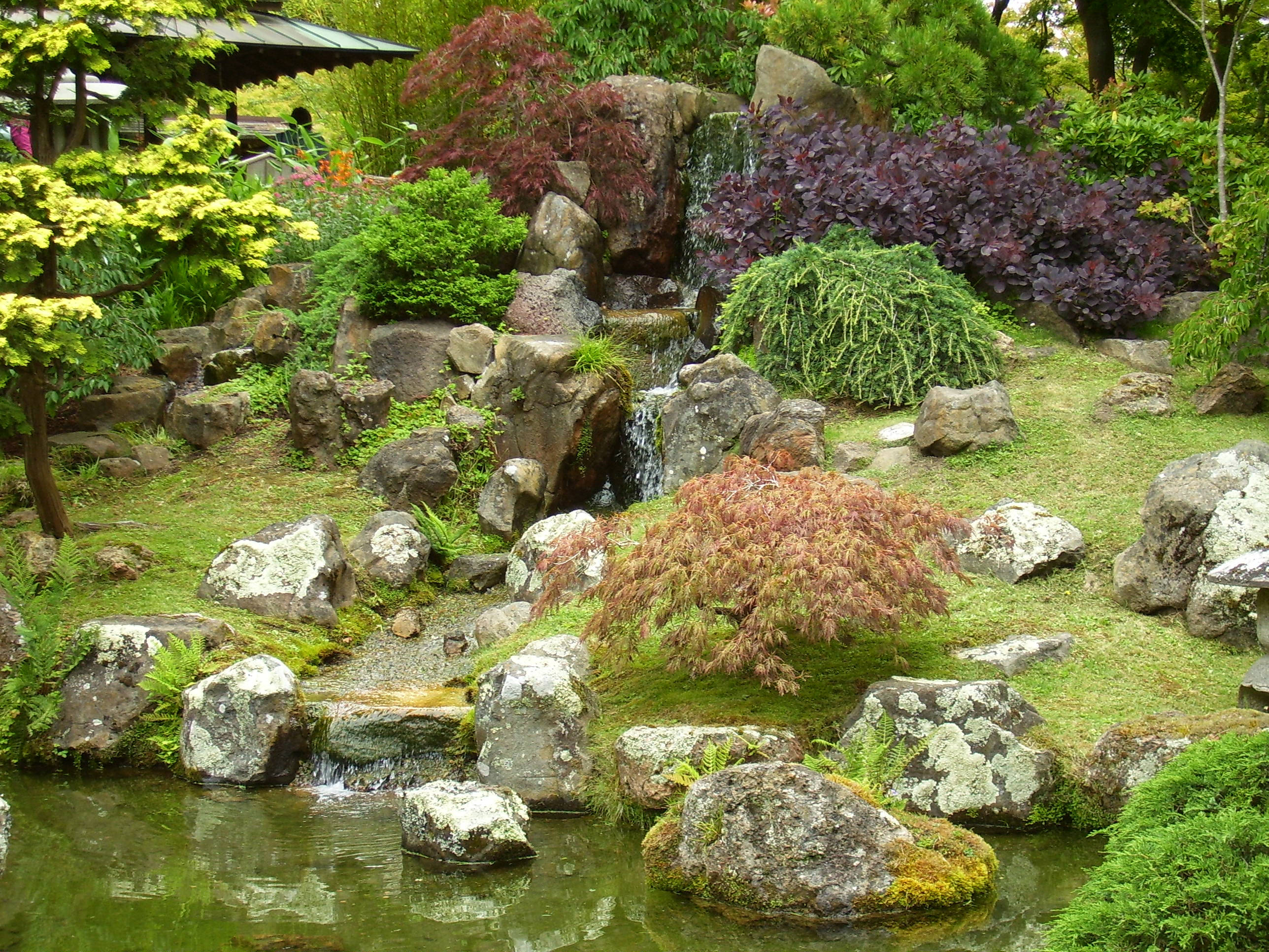 公園 桌布 壁紙 — 一個寧靜的日本花園，有長滿苔蘚的岩石、層疊的瀑布，以及圍繞寧靜池塘的鮮豔綠色、紫色和黃色樹葉。