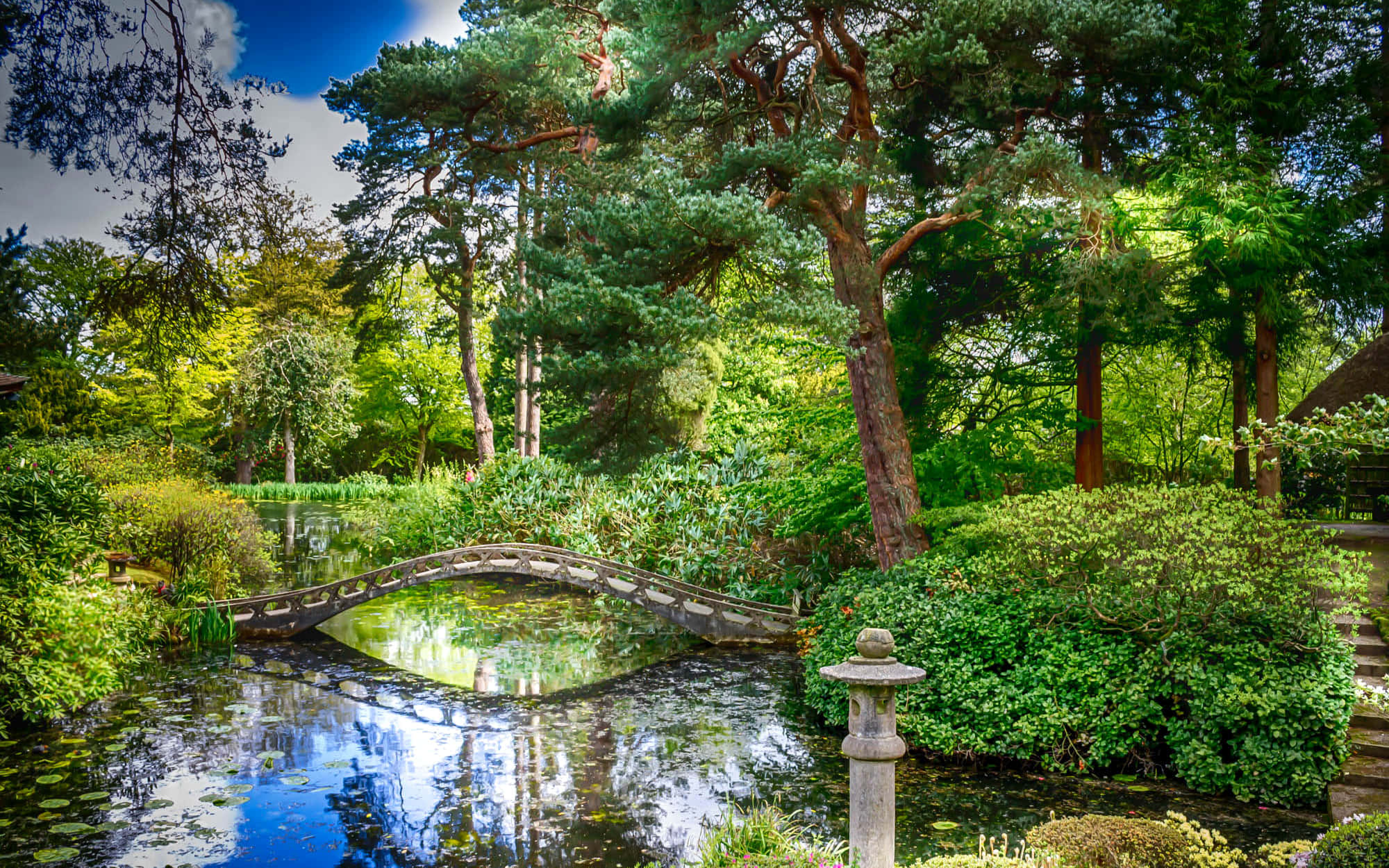 攝影 桌布 壁紙 — 一個寧靜的日本花園，石橋拱跨在睡蓮池塘上，周圍環繞著茂密的綠樹和石燈籠。