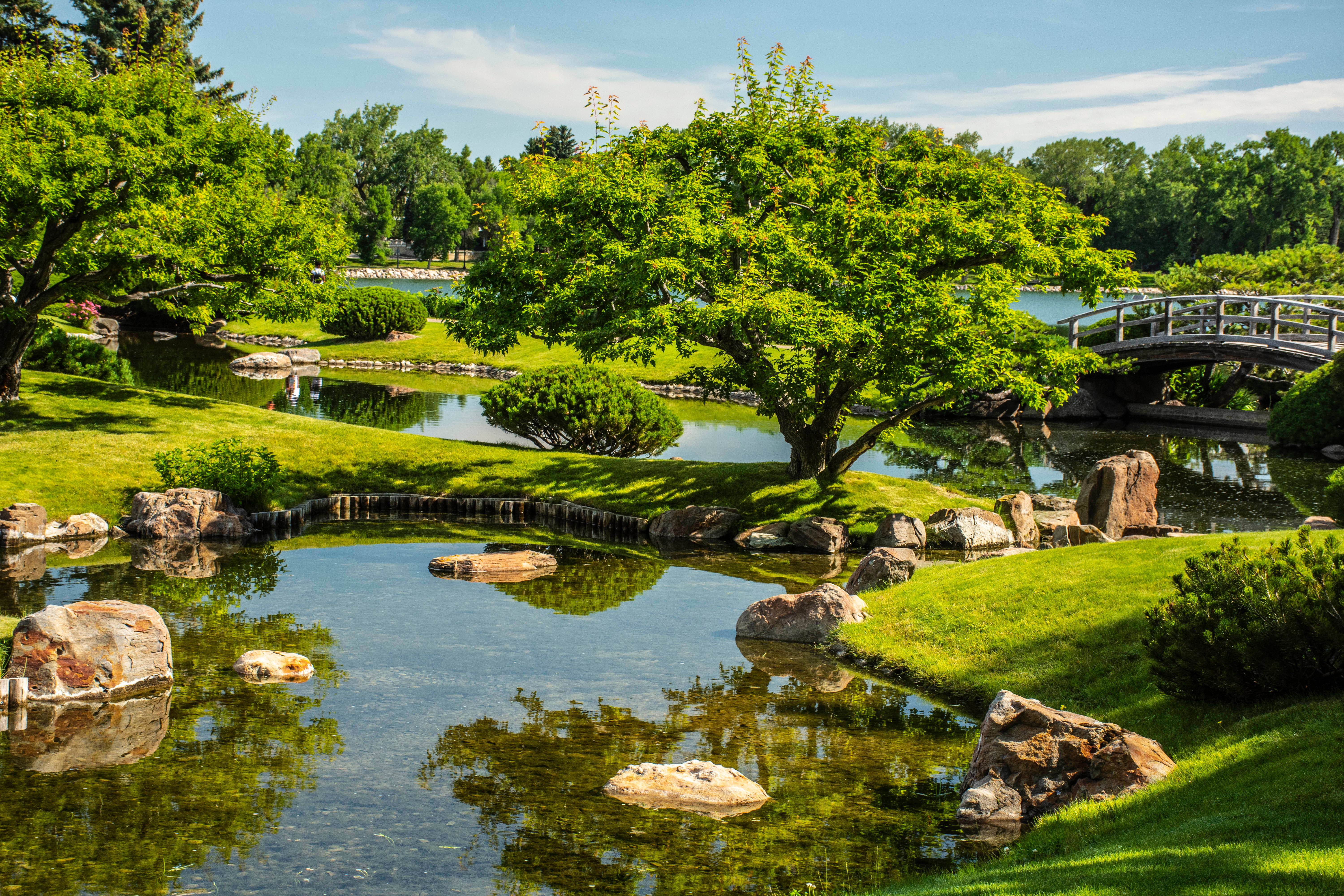 風景 桌布 壁紙 — 一個寧靜的日本花園池塘，有茂密的綠樹、岩石和一座木橋，在明亮的藍天下。